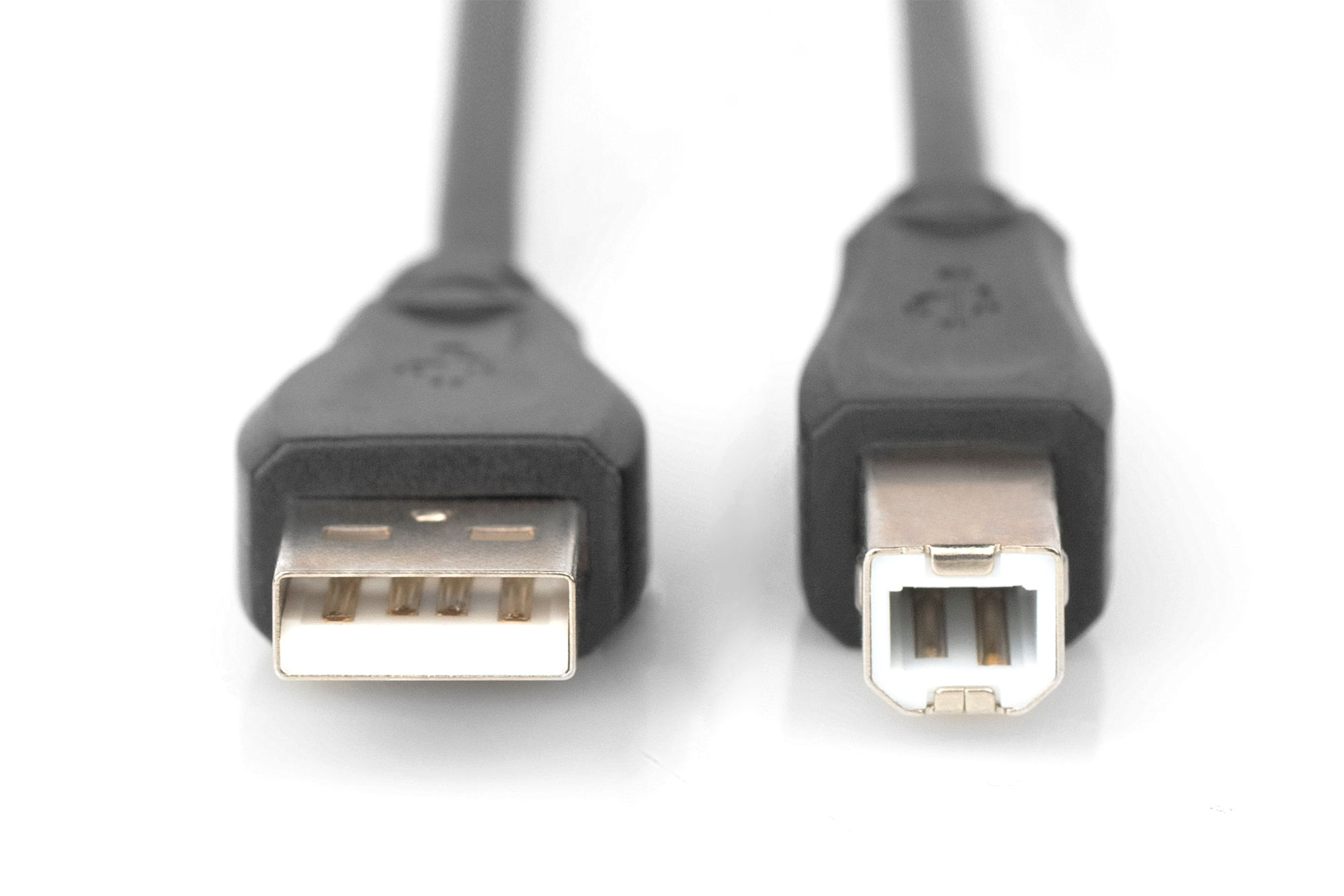 Deux câbles USB noirs avec connecteurs. L'un est USB-A standard, l'autre USB-B. Les deux sont sur fond blanc.