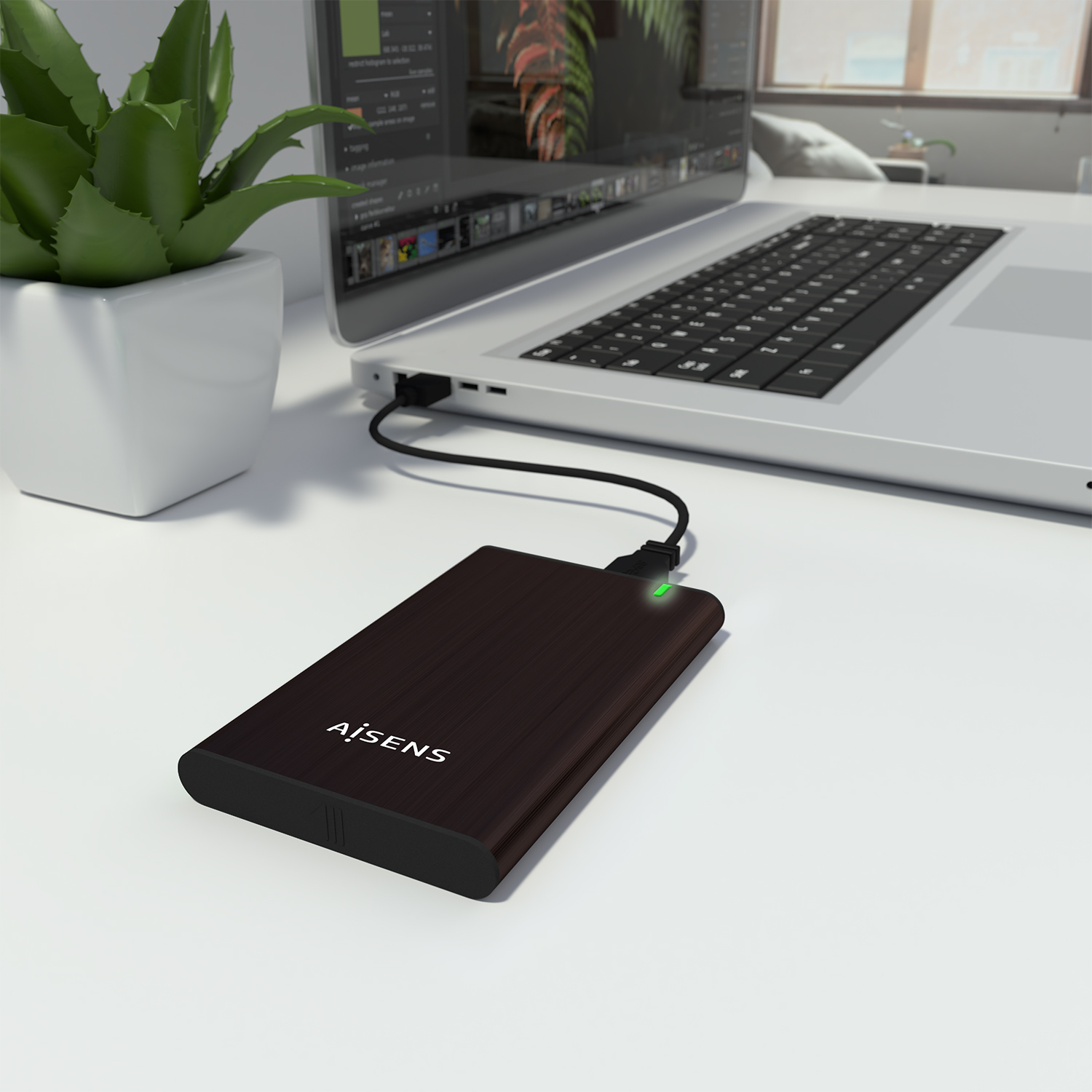 Un disco duro externo marrón conectado a una laptop. Una planta en maceta blanca a la izquierda. La escena está en un escritorio blanco.
