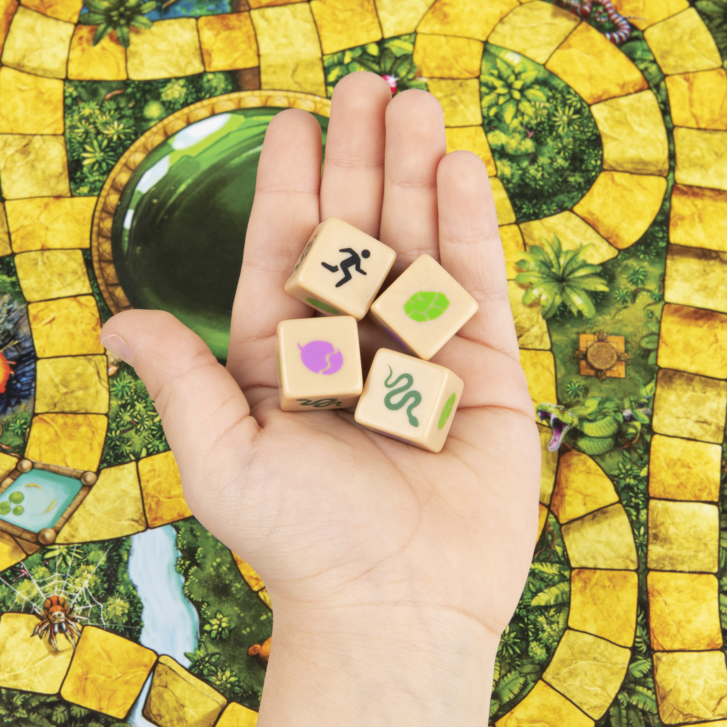 Eine Hand hält Würfel auf einem Brettspiel. Die Würfel zeigen einen rennenden Mann, ein Blatt, eine Schlange und ein lila Symbol. Das Spiel hat ein Dschungelthema.