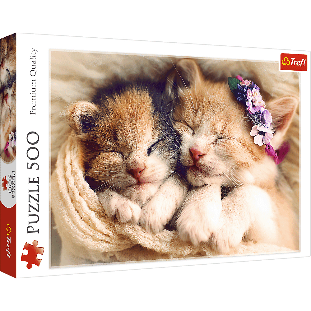 Deux chatons endormis, un avec une couronne de fleurs. Ils sont nichés dans une couverture douillette. Une boîte de puzzle en arrière-plan.