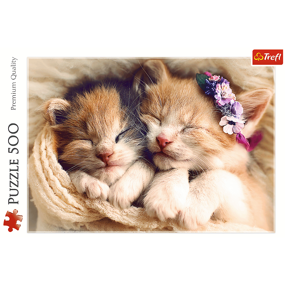 Deux chatons endormis, un avec une couronne de fleurs. Ils sont nichés dans une couverture douce. La marque du puzzle est visible.