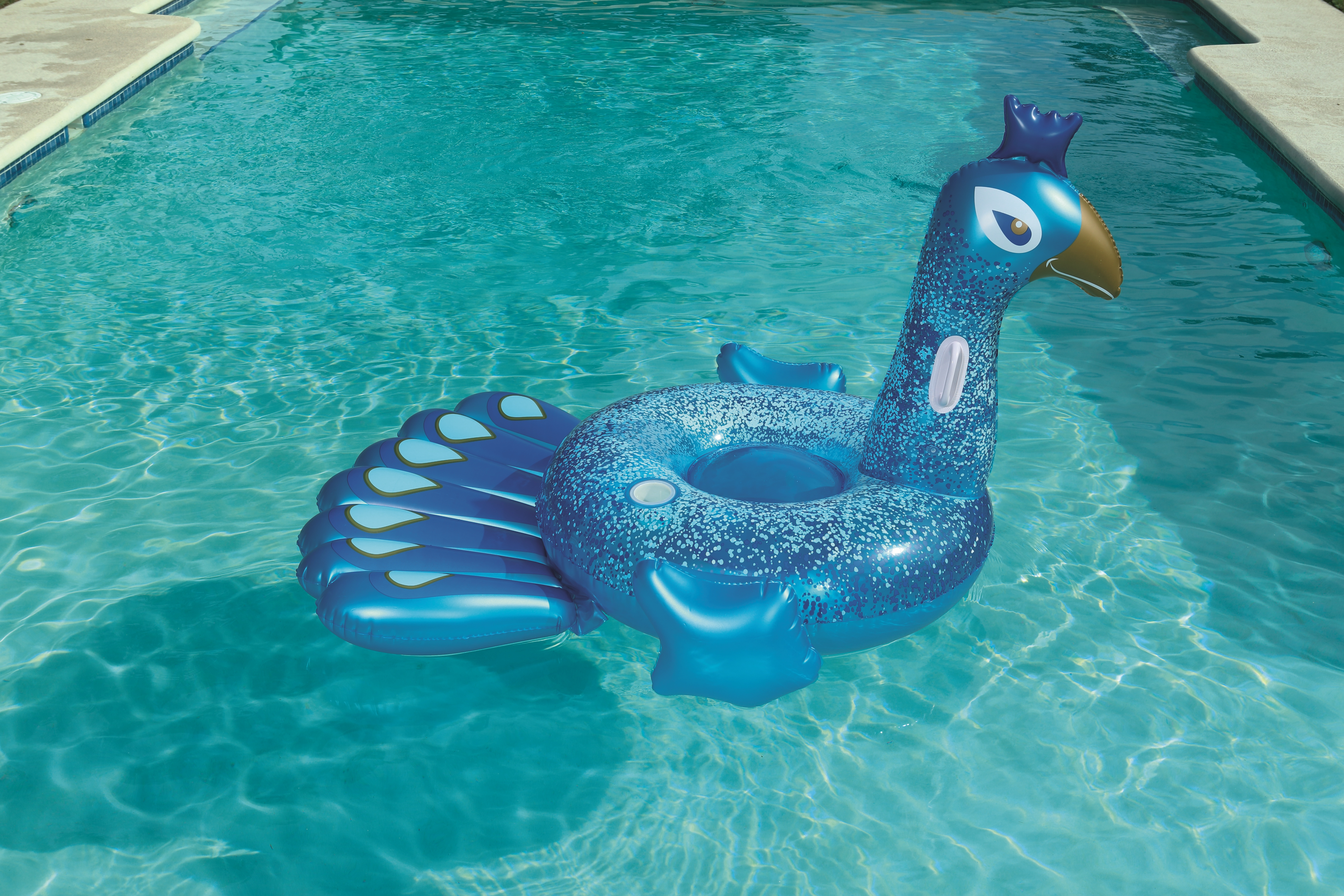 Ein blauer Pfau-Schwimmer in einem Schwimmbad. Das Wasser ist türkis und die Ränder des Pools sind sichtbar.