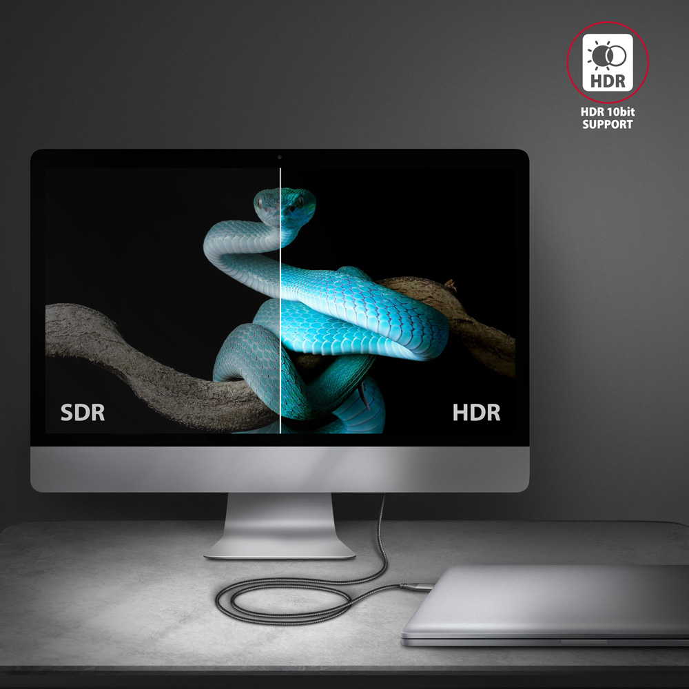 Monitor komputera wyświetla węża, podzielonego między SDR i HDR. Poniżej laptop, z kablem podłączonym do monitora.
