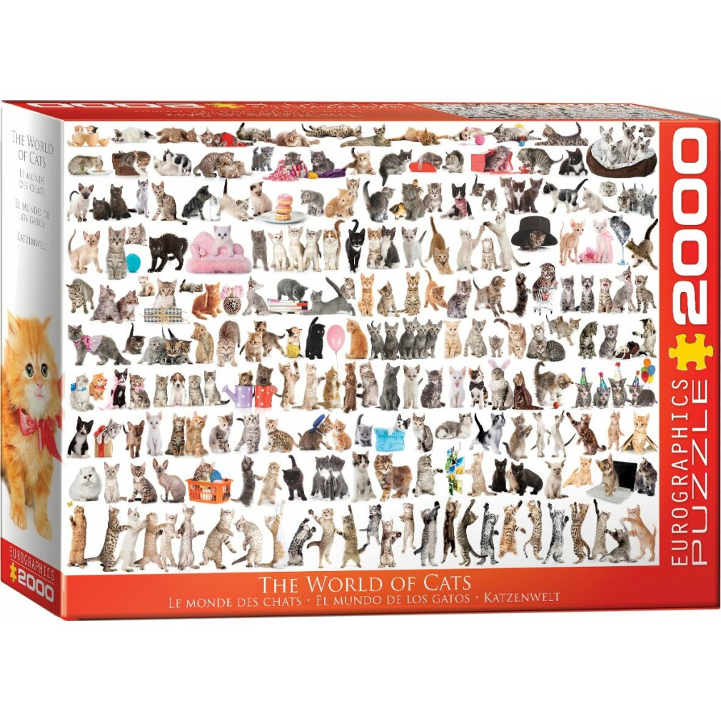Eine Puzzleschachtel mit dem Titel 'The World of Cats' zeigt viele Katzenbilder. Auf der Seite der Schachtel ist eine orange Katze mit Schleife.
