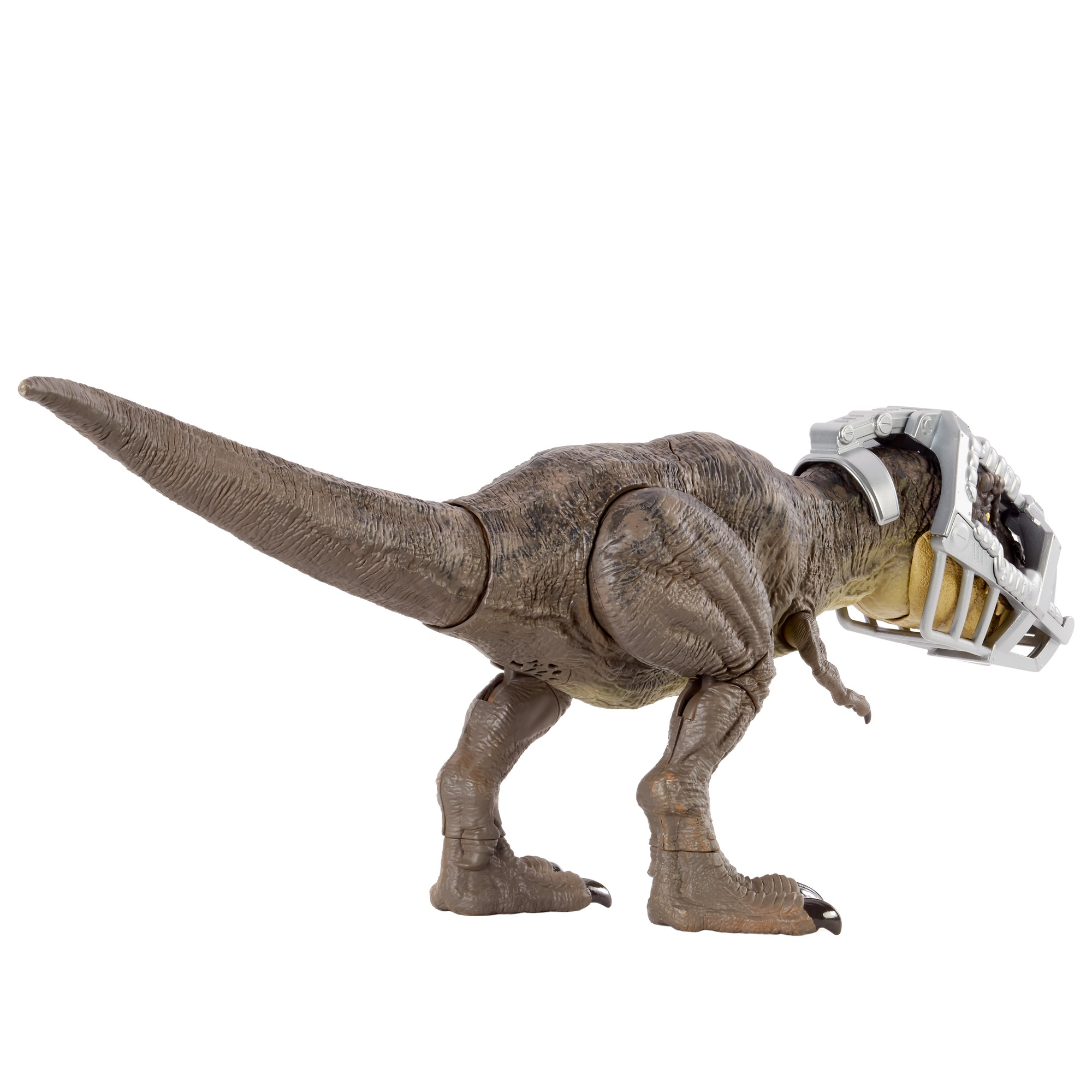Un juguete de Tyrannosaurus Rex marrón con bozal de metal. Está sobre dos patas sobre fondo blanco.