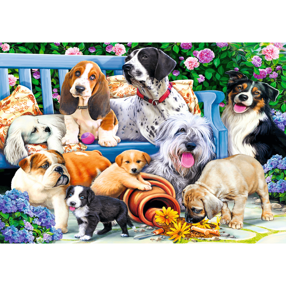 A group of dogs of various breeds sits on a blue bench surrounded by flowers. Some are puppies, others are adults.