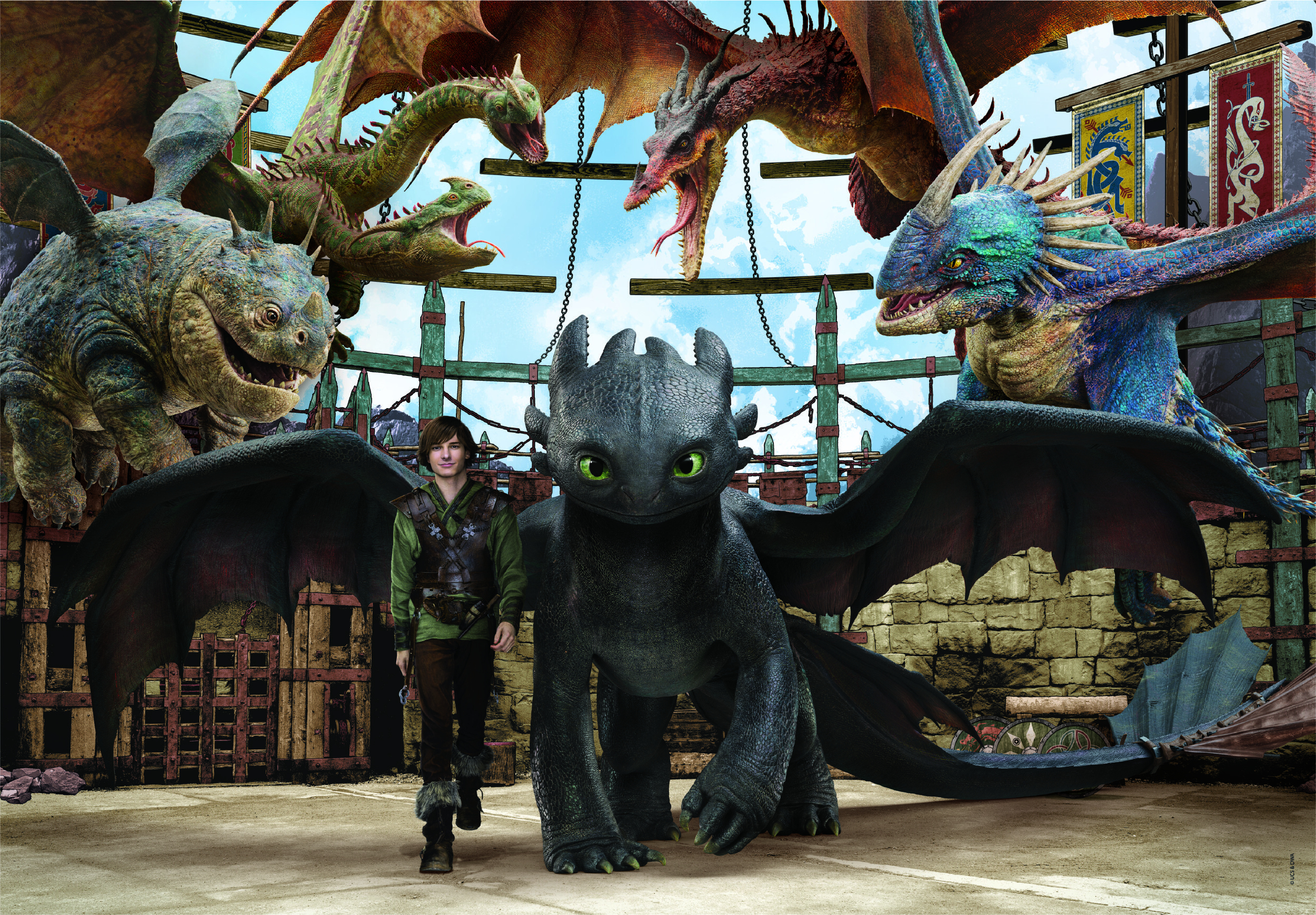 Un homme et un dragon noir se tiennent dans une pièce, entourés de divers dragons. Le fond a des bannières et le ciel.