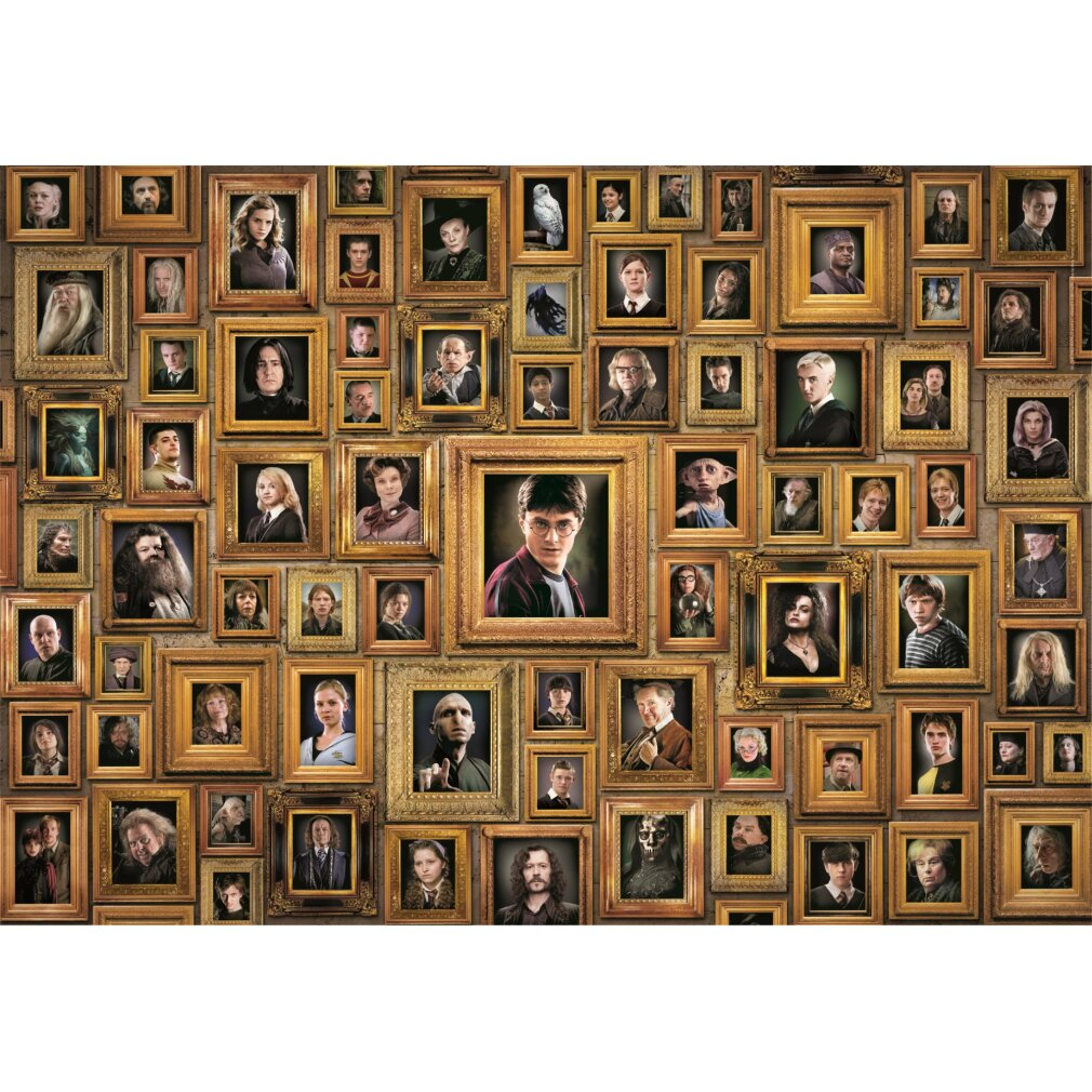 Un muro ricoperto di ritratti incorniciati dei personaggi di Harry Potter. Harry Potter è al centro. Anche altri personaggi sono incorniciati.