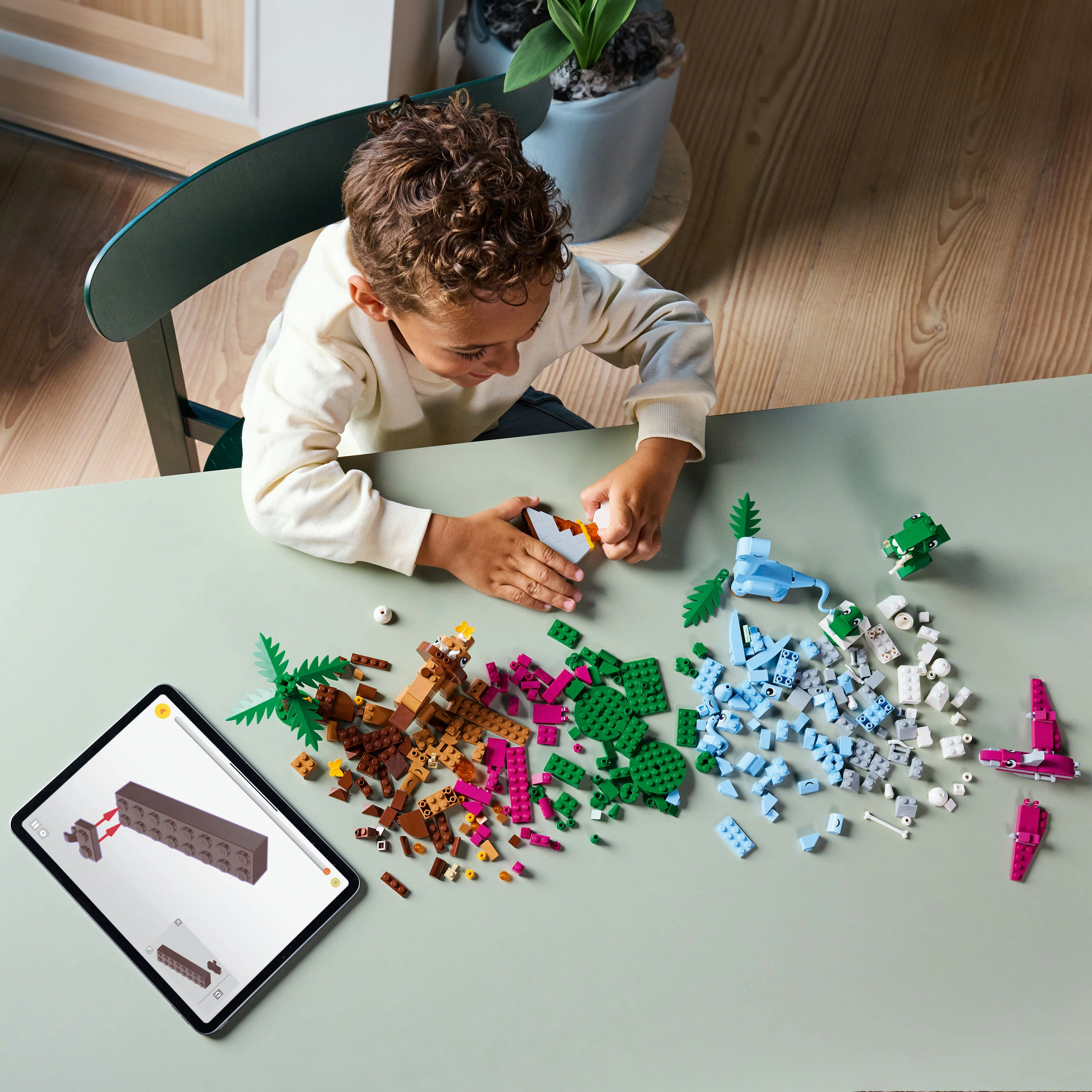 Dziecko buduje z klocków Lego na stole. Klocki Lego w różnych kolorach są rozrzucone. Tablet pokazuje instrukcje.