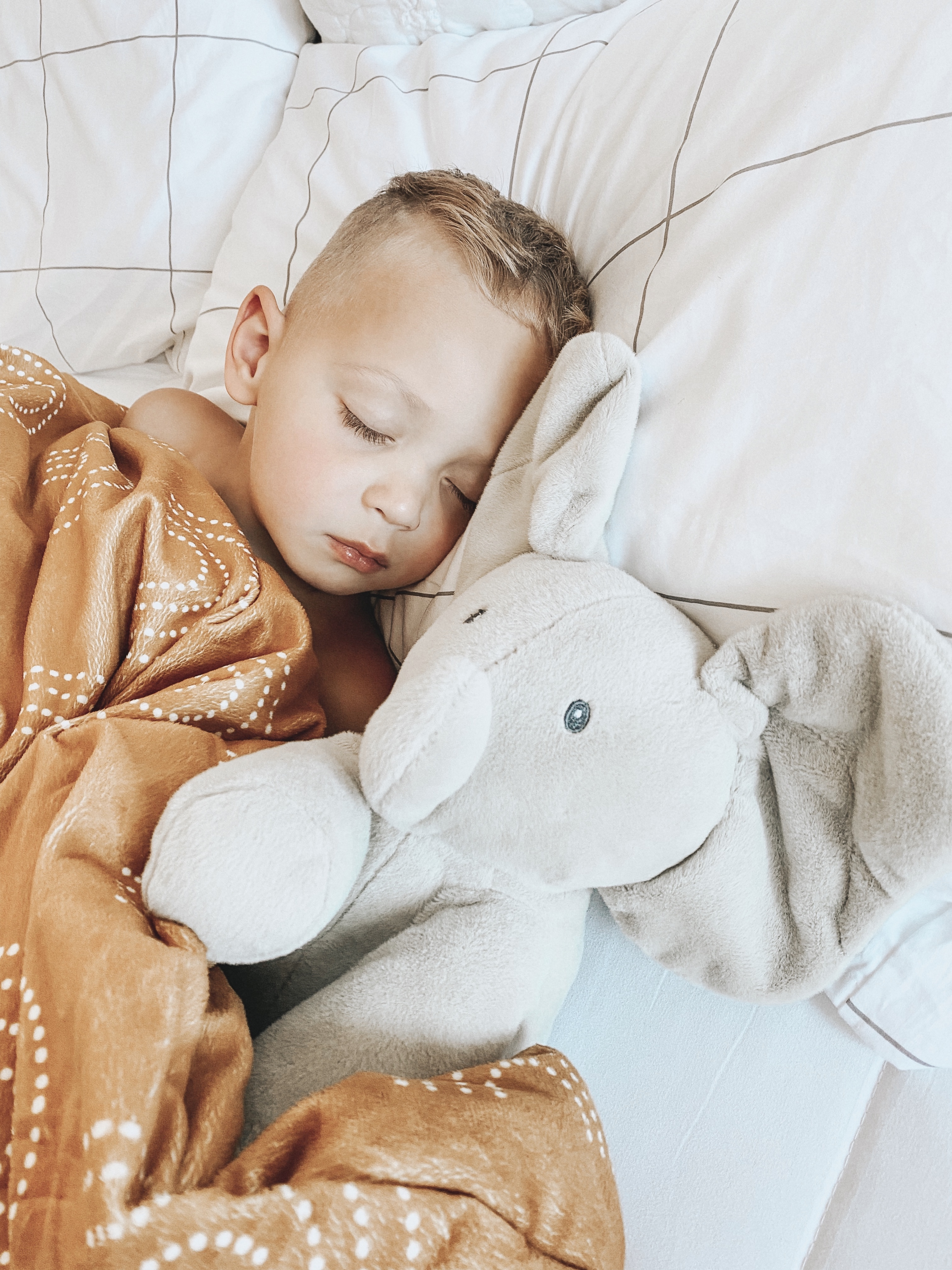 Dziecko śpi w łóżku, przykryte kocem i trzymając pluszowego słonia. Prześcieradła są białe.