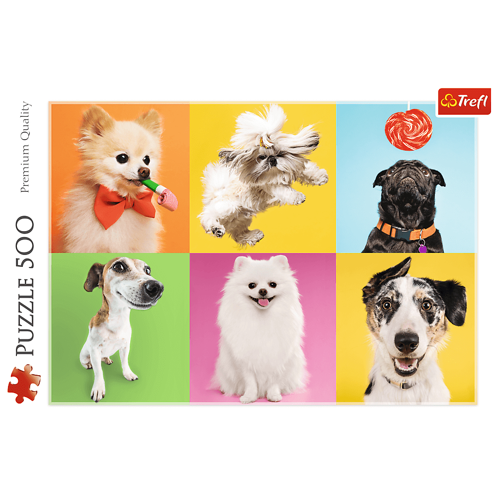 Un puzzle mostra sei cani su sfondi colorati. Sono di varie razze ed espressioni, tra cui un cane con un oggetto da festa.