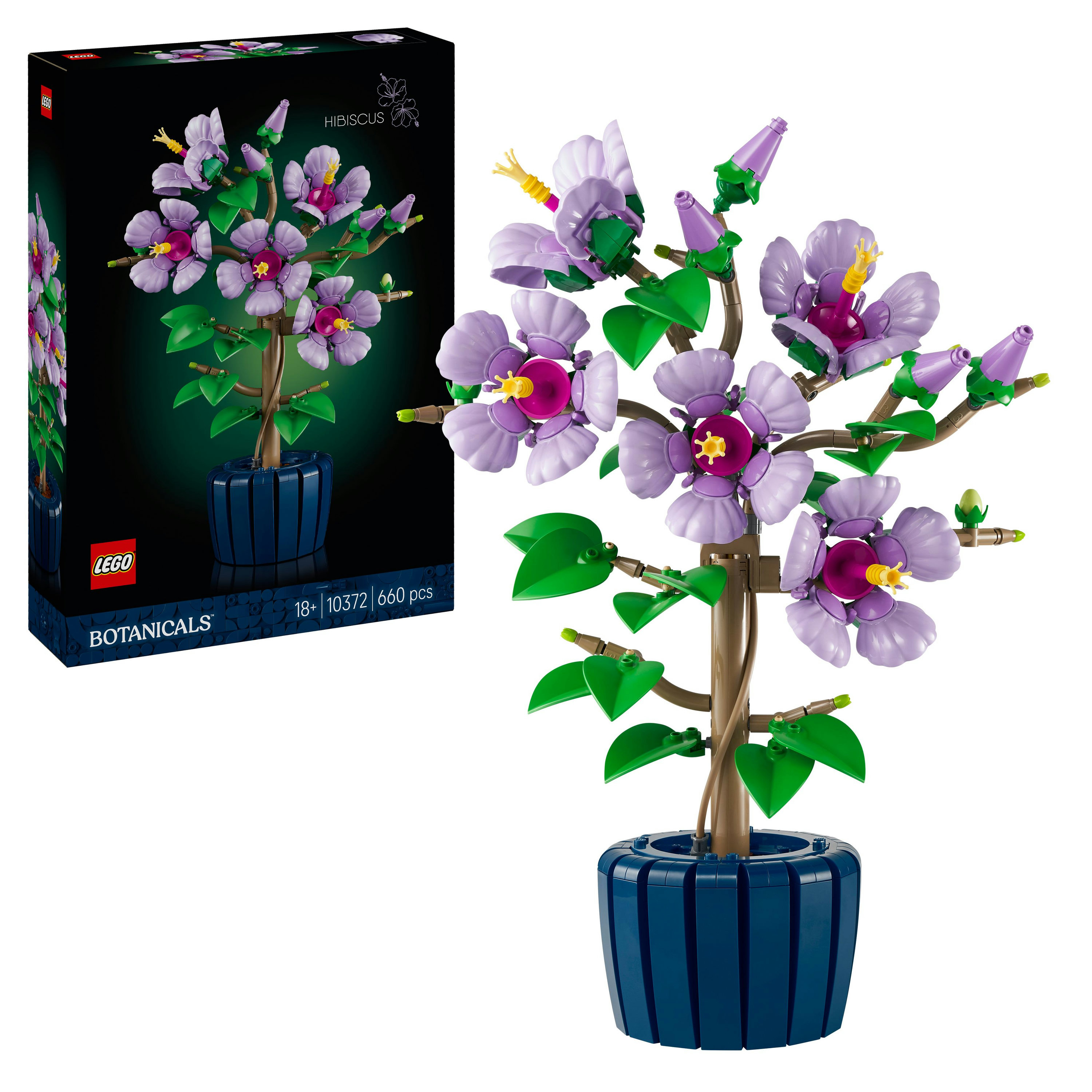 Mavi bir saksıda bir hibiskus bitkisinin LEGO seti. Çiçekler mor, yapraklar yeşil, gövde kahverengi.