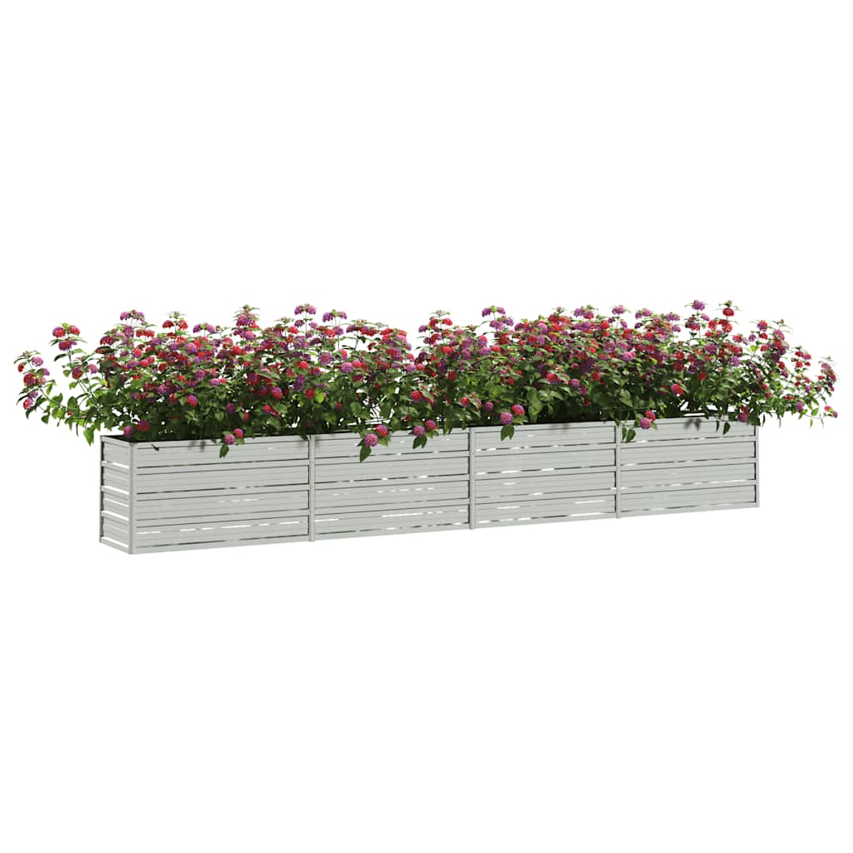 Eine lange, weiße Pflanzkasten gefüllt mit leuchtenden rosa und roten Blumen und grünen Blättern. Der Hintergrund ist weiß.