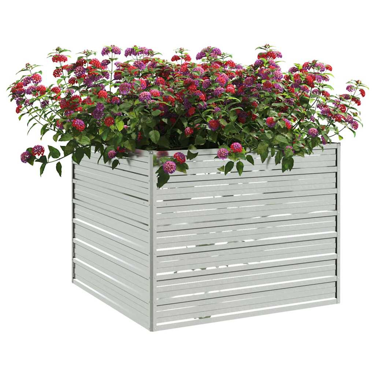 Eine quadratische, weiße Pflanzkasten gefüllt mit leuchtend roten und lila Blumen mit gr ünen Blättern. Die Box hat horizontale Lamellen.