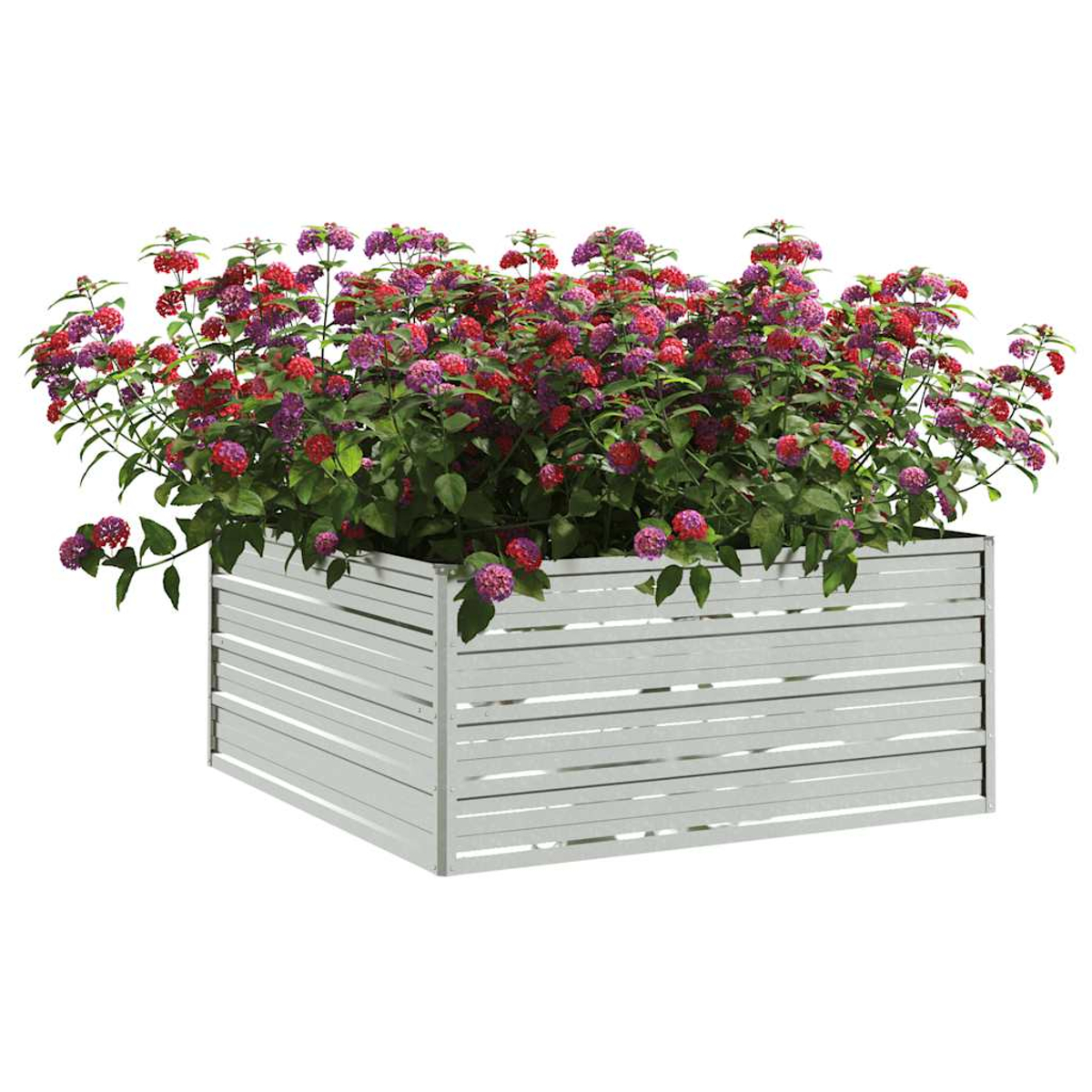 Ein weißer Pflanzkasten mit leuchtenden Blumen in Rot-, Rosa- und Lilatönen sowie grünen Blättern vor weißem Hintergrund.