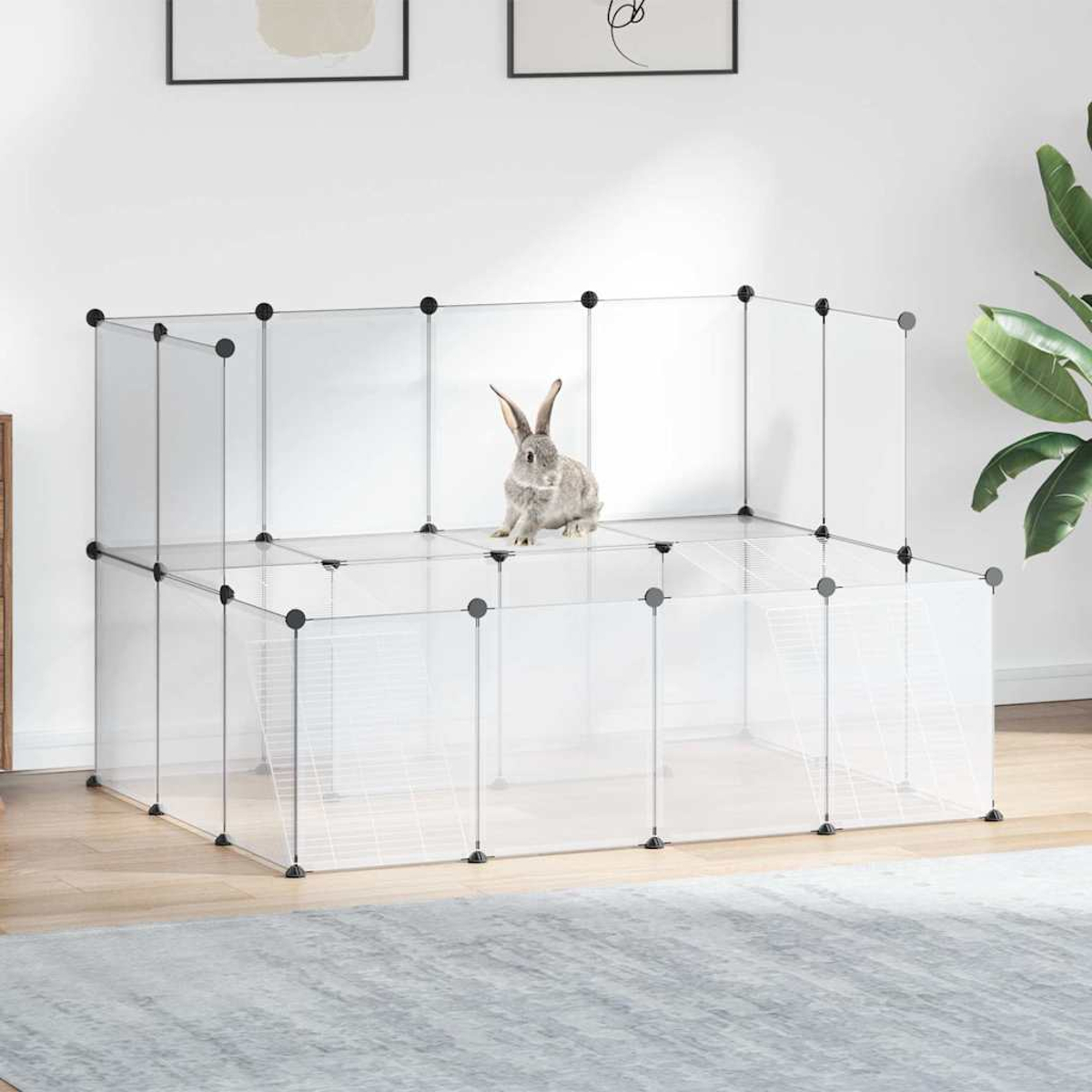 Ein graues Kaninchen sitzt in einem durchsichtigen Kunststoffgehege. Das Gehege befindet sich in einem Raum mit einem Teppich und einer Pflanze. Kunstwerke hängen an der Wand.
