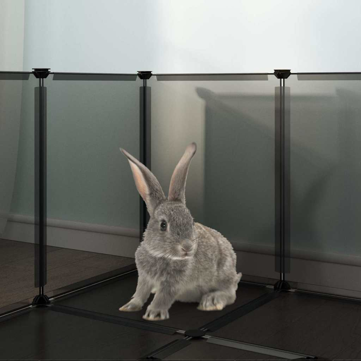 Ein graues Kaninchen sitzt in einem schwarzen Gehege. Der Hintergrund ist eine hellblaue Wand. Das Gehege besteht aus transparenten Platten.