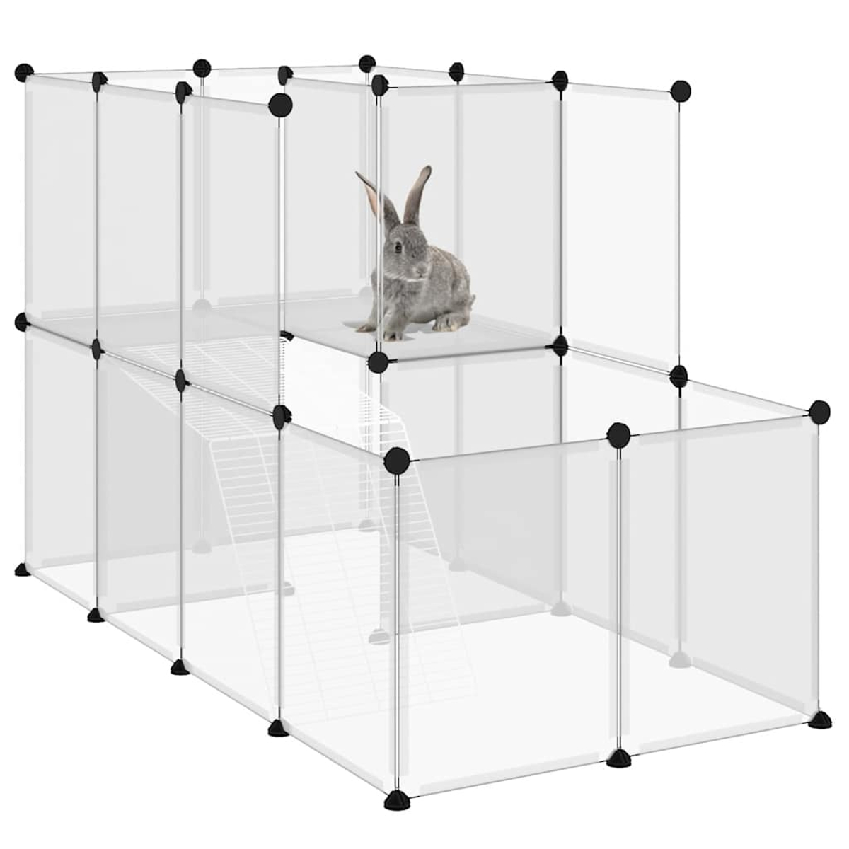 Ein graues Kaninchen sitzt in einem durchsichtigen Kunststoffgehäuse mit einer Rampe und schwarzen Verbindern. Das Gehäuse hat zwei Ebenen.