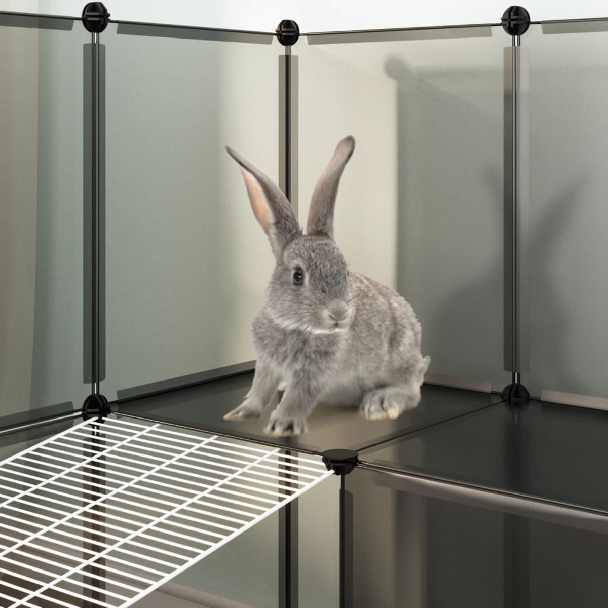 Ein graues Kaninchen sitzt in einem schwarz-grauen Gehege. Eine weiße Rampe führt zum Kaninchen. Der Hintergrund ist eine hellgraue Wand.