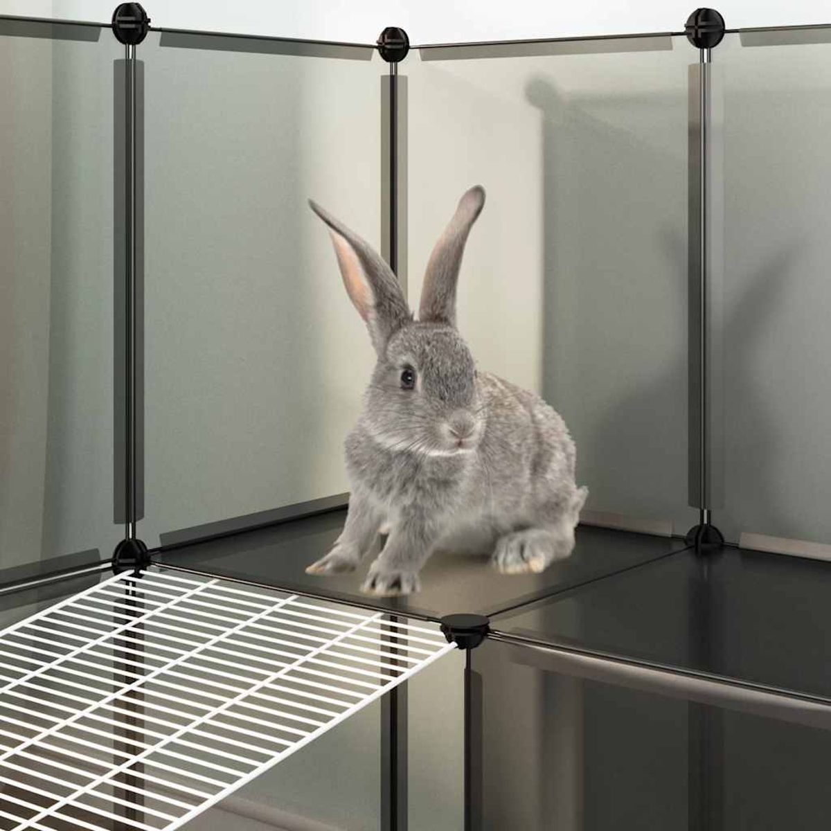 Ein graues Kaninchen sitzt in einem modularen Gehege. Eine weiße Rampe befindet sich im Vordergrund. Das Gehege hat schwarze Rahmen und graue Paneele.