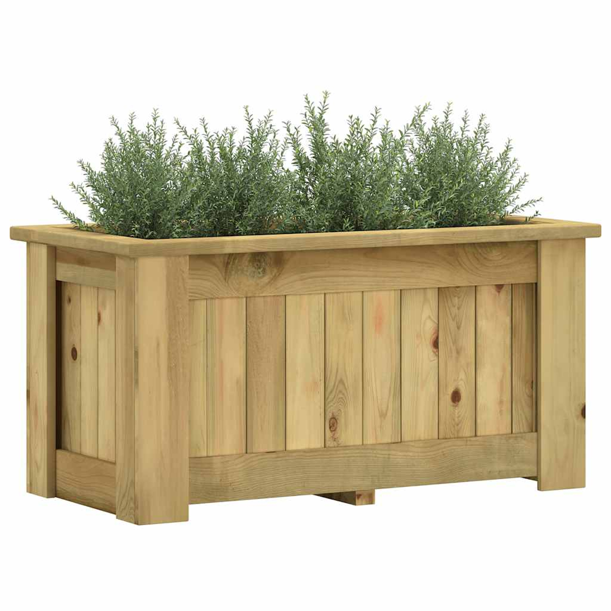 Eine rechteckige Holzpflanzkasten mit grünen Pflanzen gefüllt. Die Box besteht aus hellfarbenem Holz, das auf weißem Hintergrund steht.