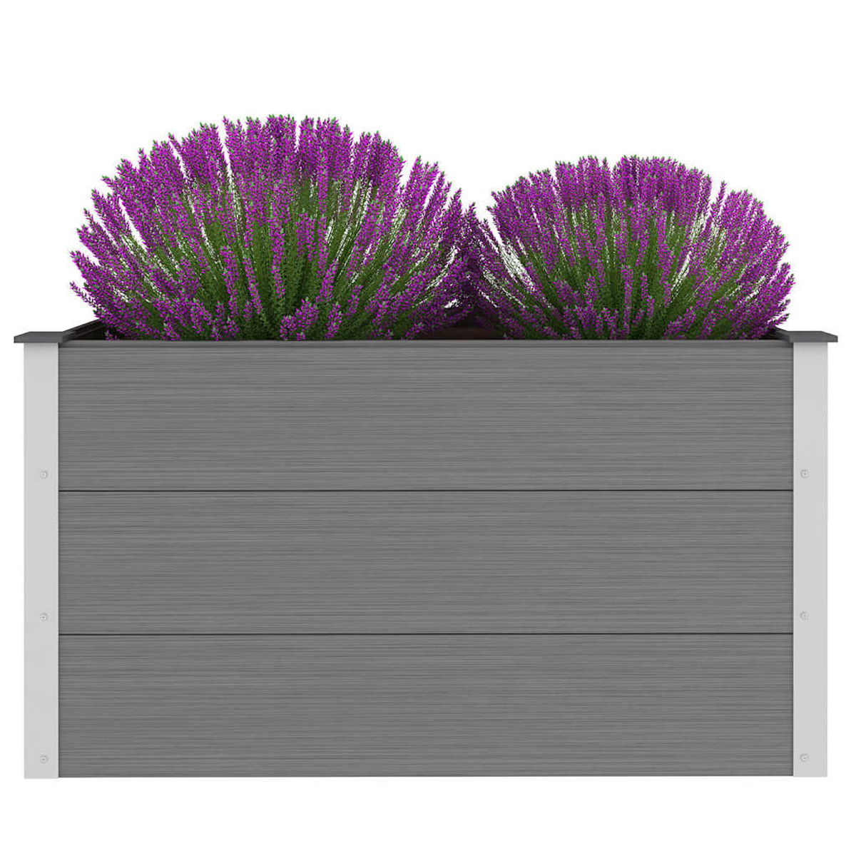 Grauer Pflanzkasten mit zwei runden Büschen aus lila Blumen. Die Box hat drei horizontale Bretter.