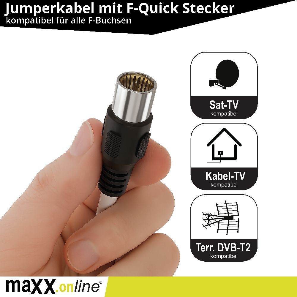 Eine Hand, die ein silbernes und schwarzes Kabel hält, mit drei Symbolen für Satelliten-, Kabel- und terrestrische TV-Kompatibilität.