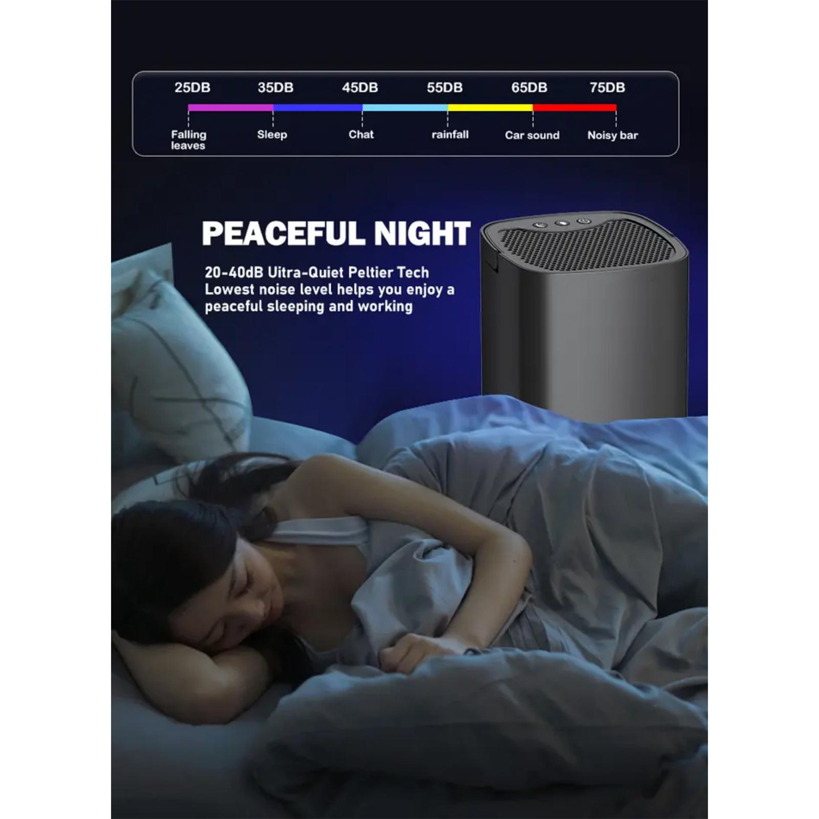 Eine Frau schläft im Bett. Daneben steht ein Luftreiniger. Der Text beschreibt das Produkt als friedlich und leise.