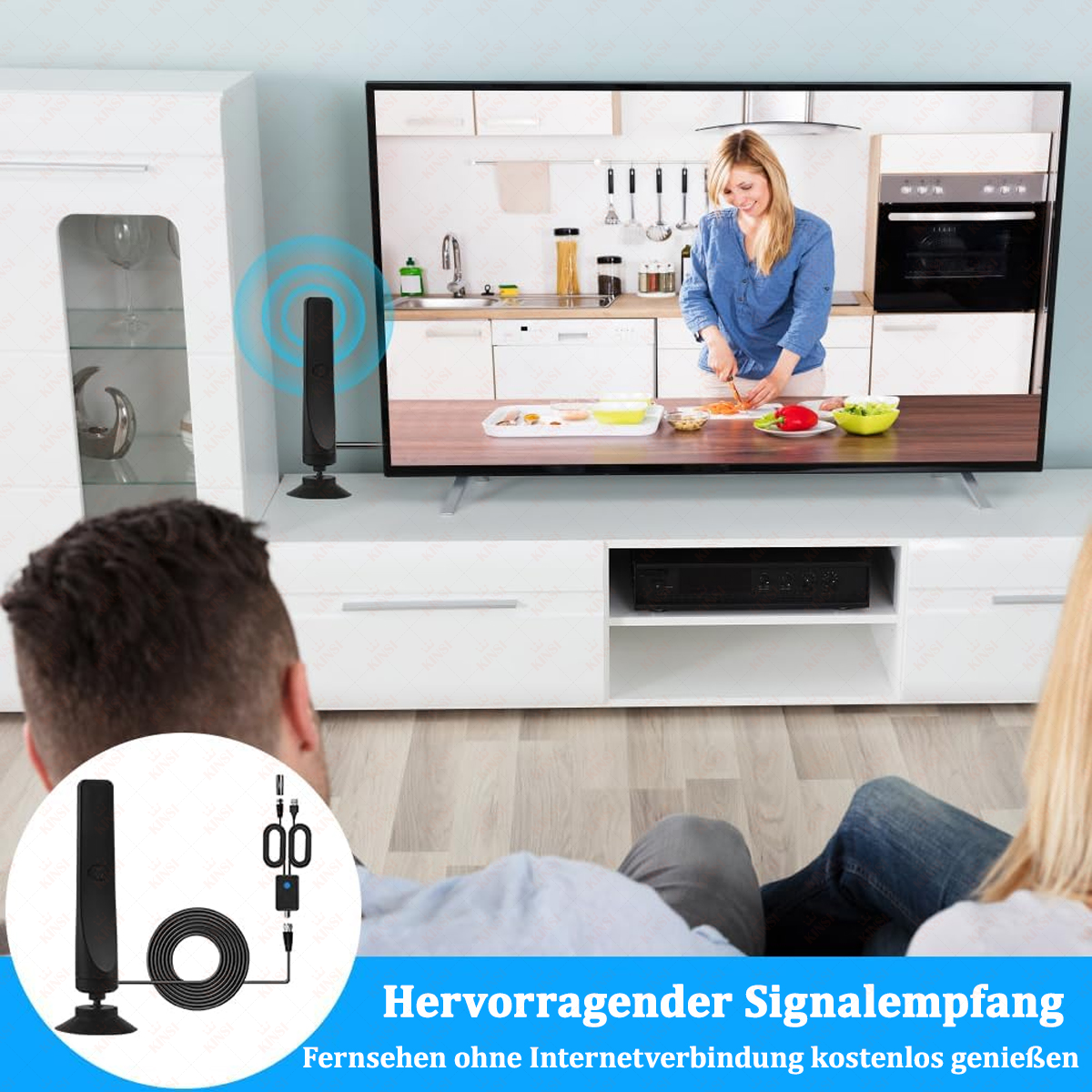 Eine TV-Antenne, Menschen sehen fern. Der Fernseher zeigt eine Frau beim Kochen in der Küche. Text: Hervorragender Signalempfang.