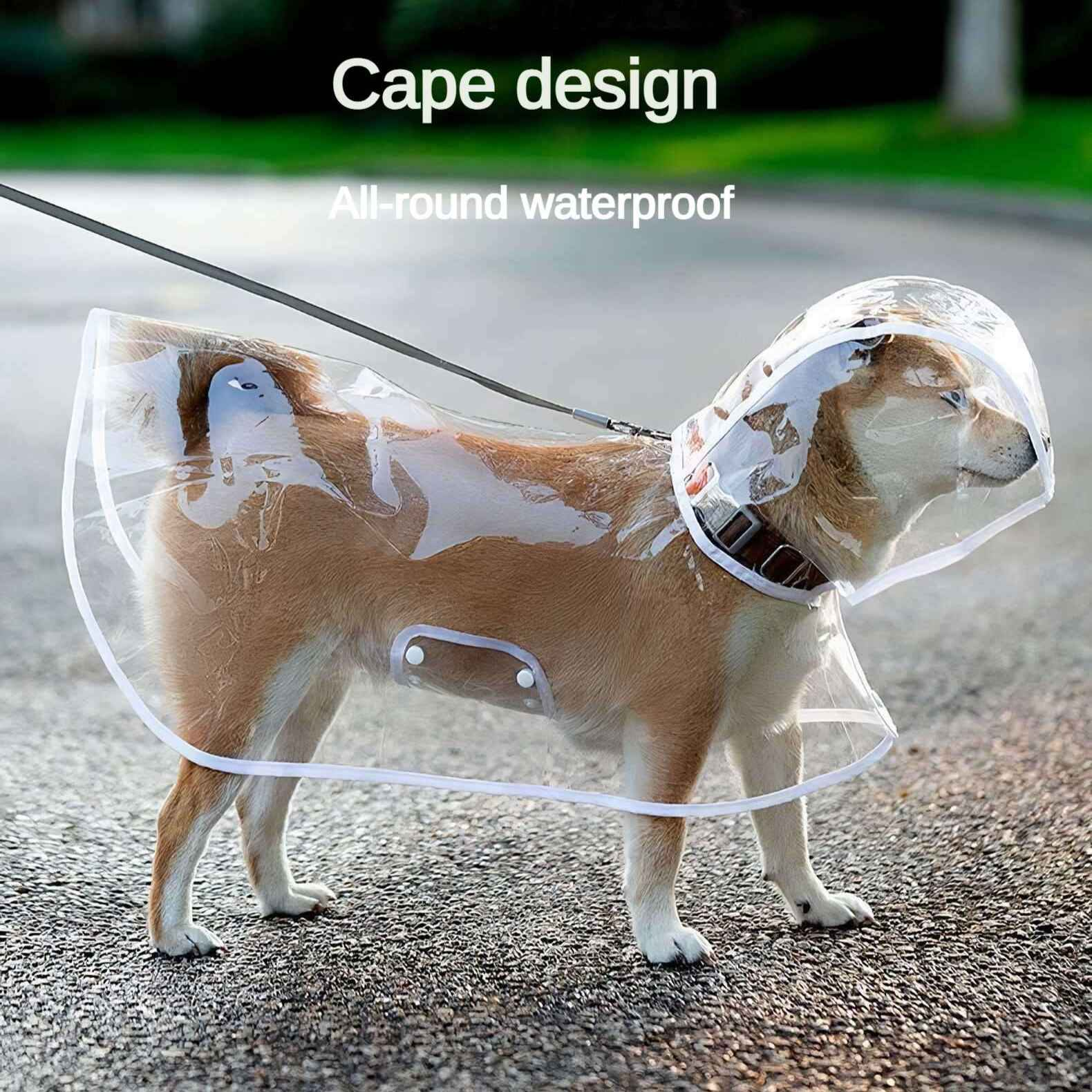 Ein Shiba Inu-Hund trägt einen durchsichtigen Regenmantel und eine Kapuze, die an einer Leine befestigt sind. Der Hund steht auf Asphalt.