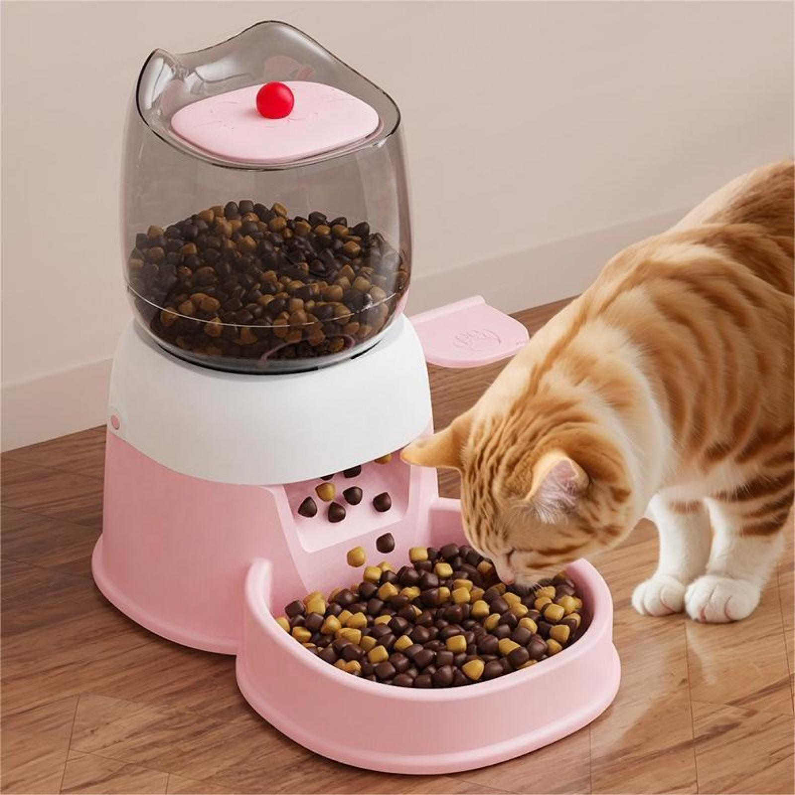 Eine Katze frisst aus einer rosa Futterschale in der Nähe eines automatischen Futterautomaten.