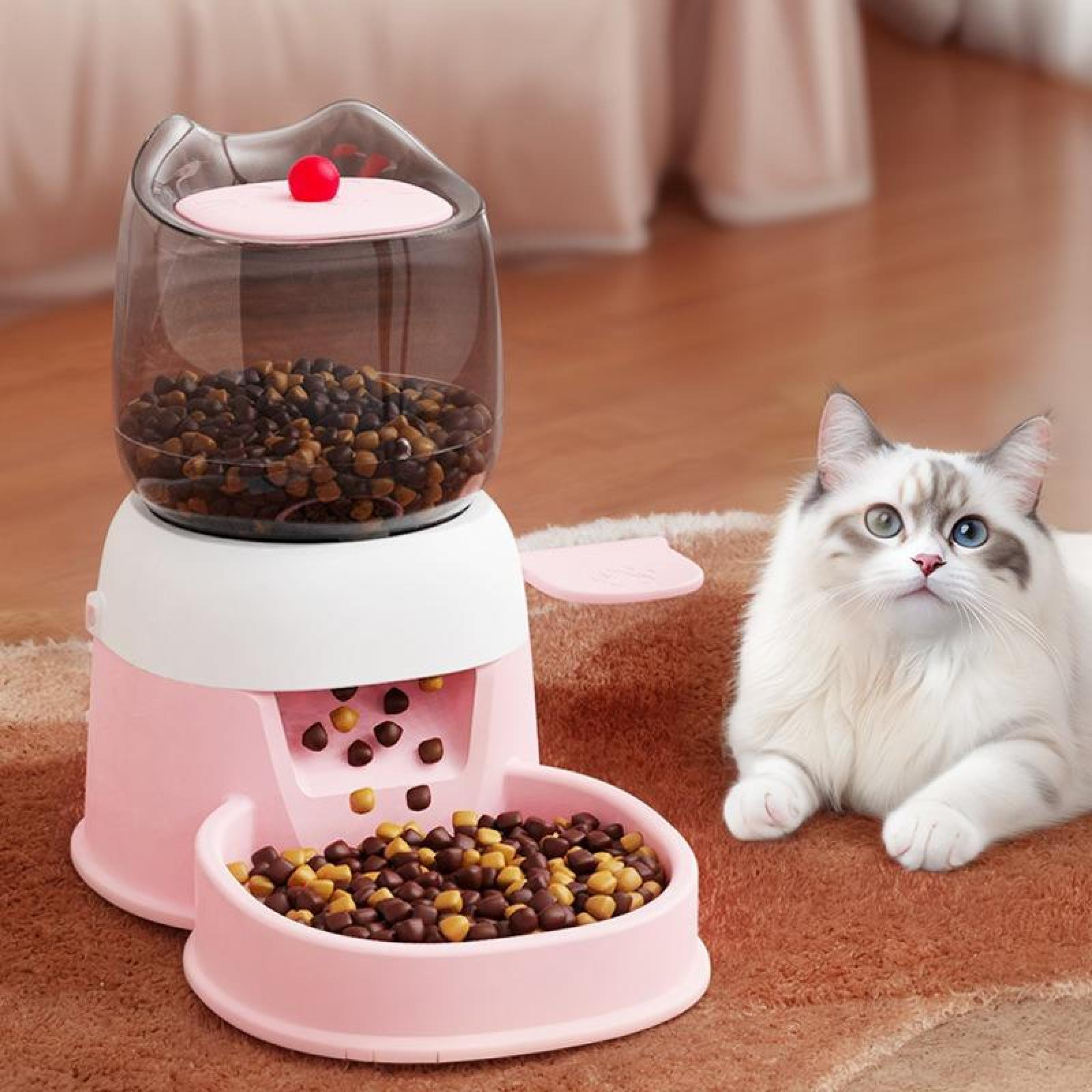 Ein rosa Katzenfutterspender mit Futter. Eine weiße Katze mit blauen Augen liegt auf einem braunen Teppich.