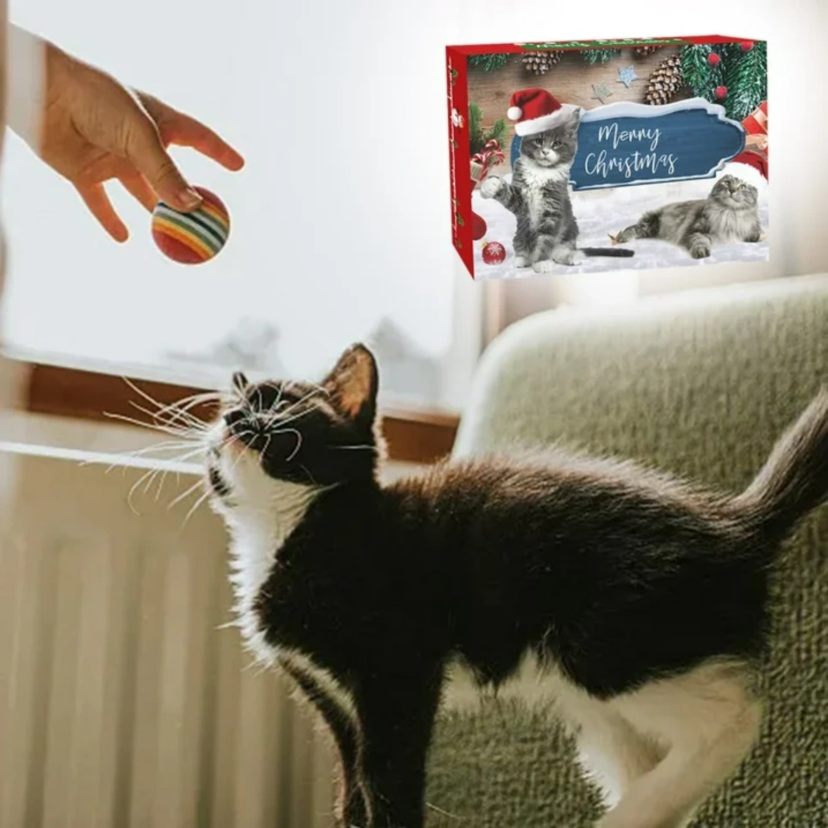 Eine Katze blickt zu einer Hand auf, die einen gestreiften Ball fallen lässt. Eine Weihnachtskarte mit Kätzchen im Hintergrund.