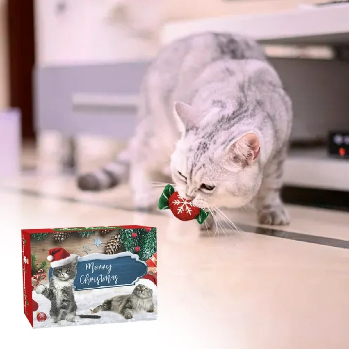 Eine graue Katze hält ein rot-grünes Spielzeug mit einer Schneeflocke. Eine Weihnachtskiste mit Katzen ist im Vordergrund.