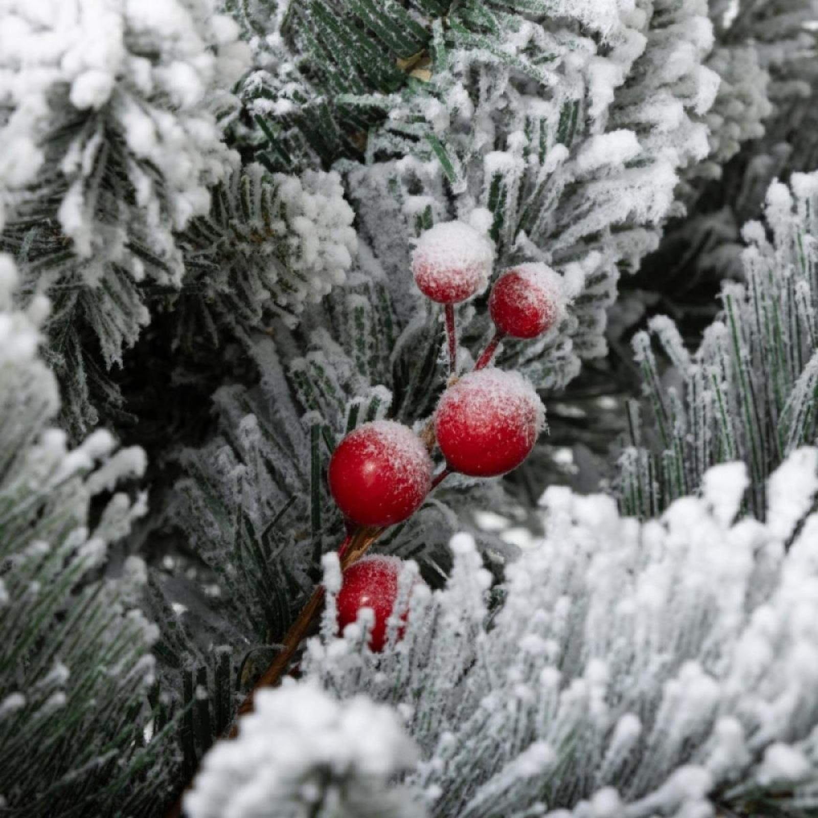Nahaufnahme eines schneebedeckten Weihnachtsbaumzweigs mit roten Beeren. Die Beeren sind gehäuft und mit Schnee bedeckt.