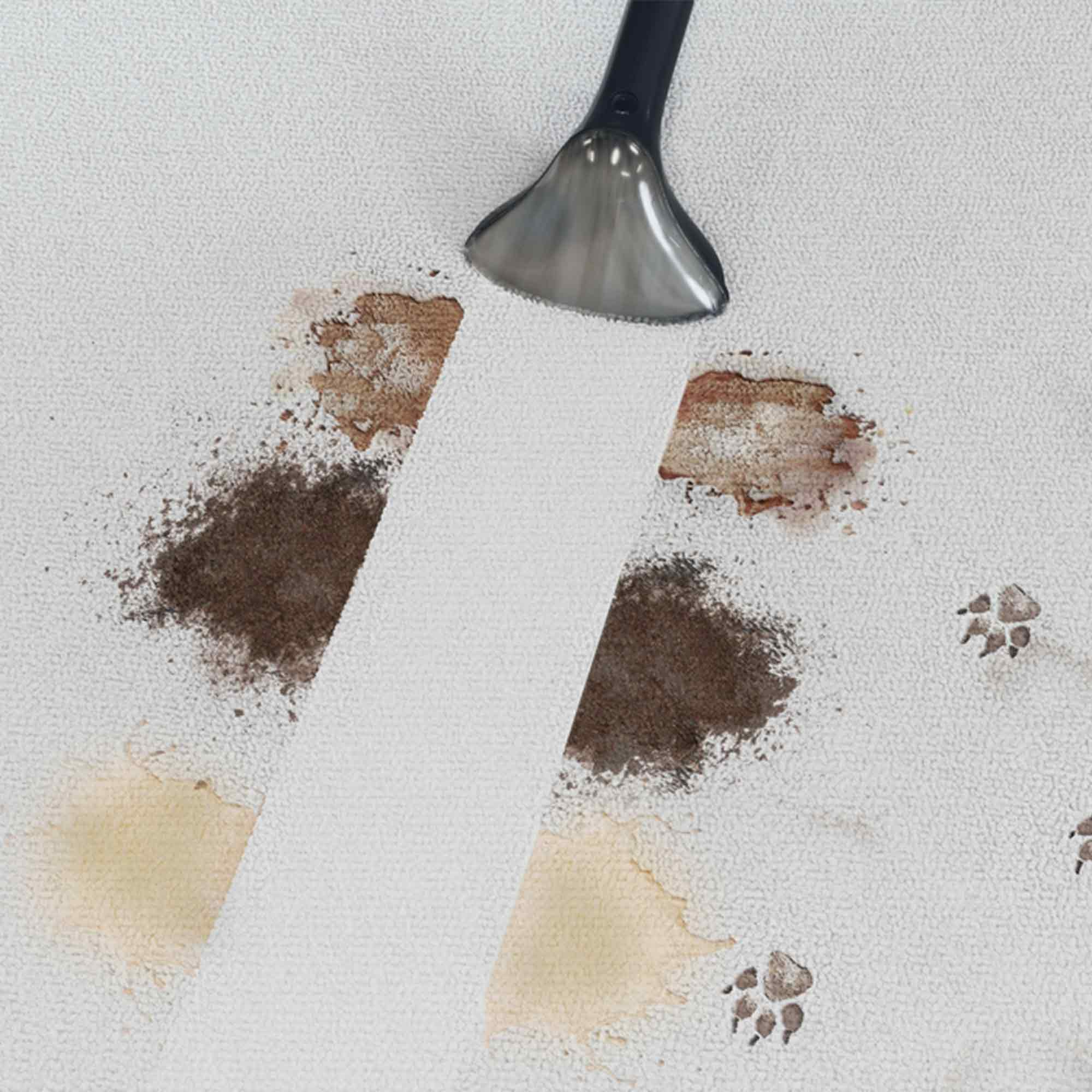 Un tappeto in fase di pulizia con un aspirapolvere. Ci sono macchie di diversi colori. Sono visibili impronte di zampe.