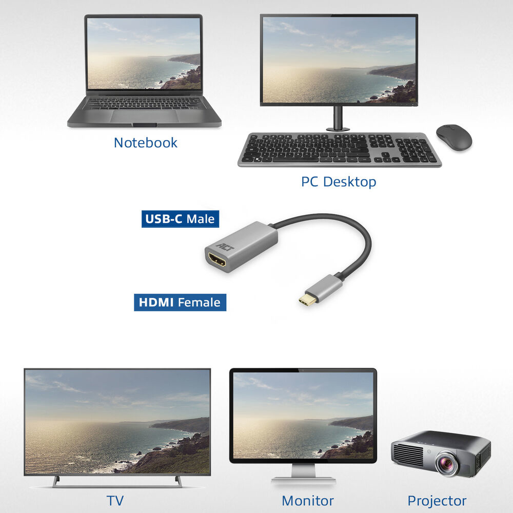 L'immagine mostra un laptop, un desktop, un adattatore USB-C, una TV, un monitor e un proiettore. Tutti mostrano una scena costiera.