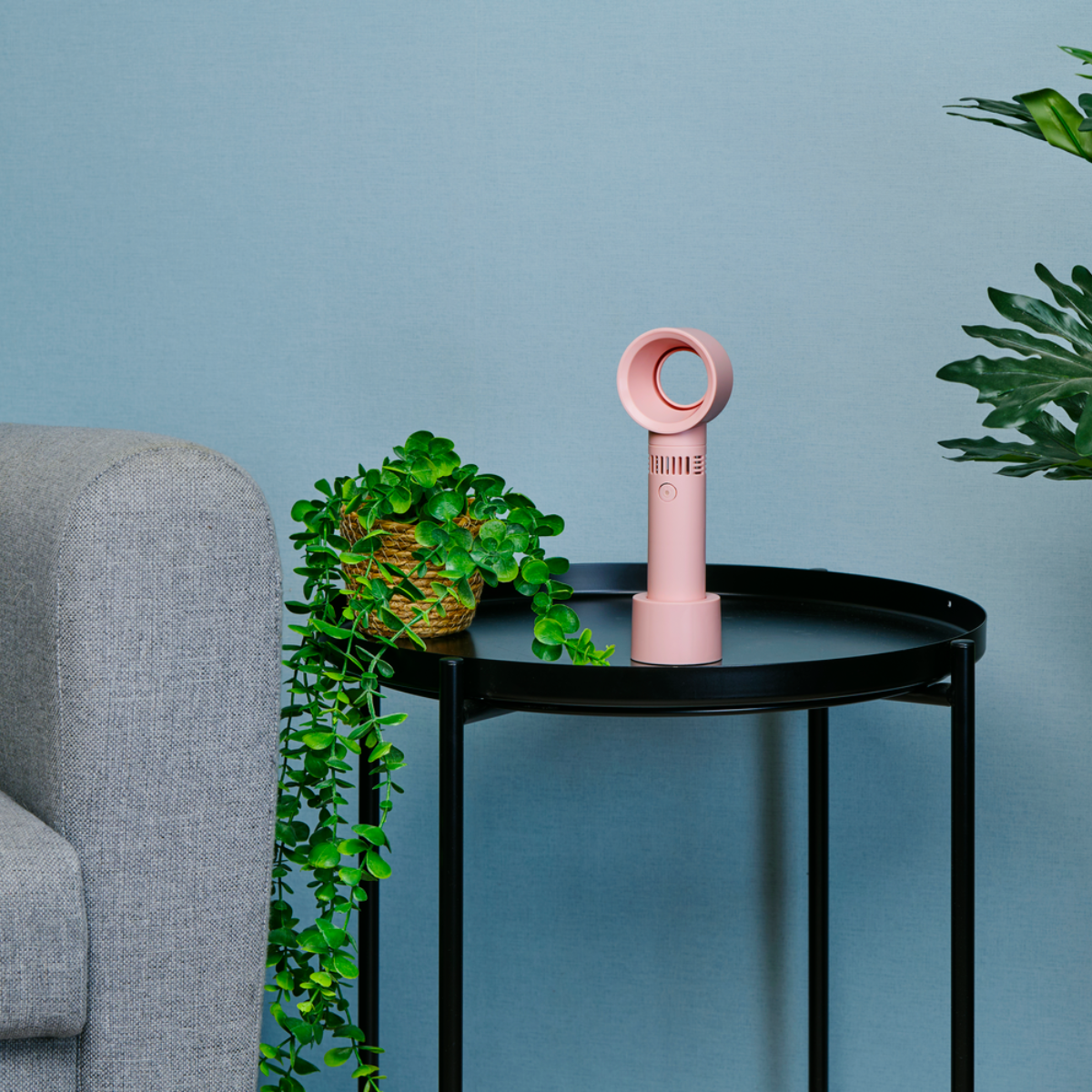 Un ventilateur rose sur une table noire avec une plante dans un panier. Un canapé gris et un mur bleu en arrière-plan.