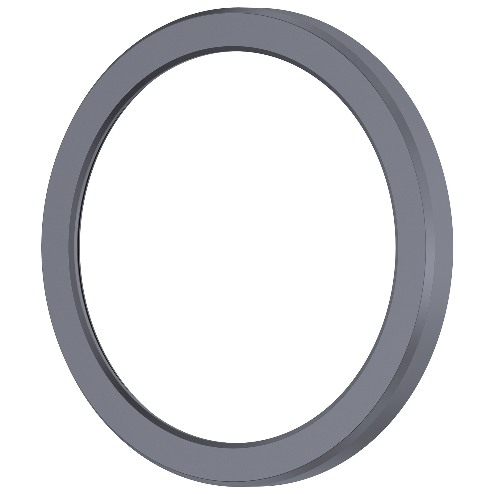 Un anello grigio su sfondo bianco. L'anello ha un bordo esterno spesso e uno interno più sottile.