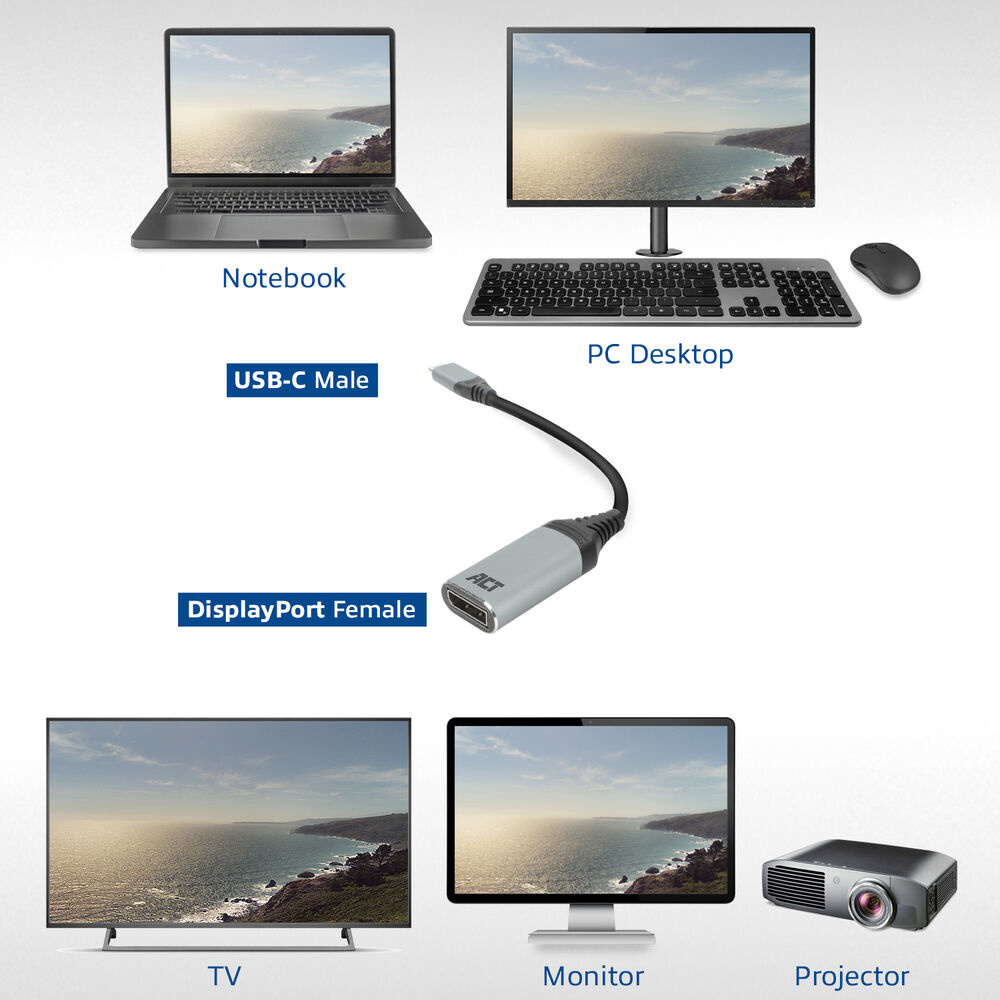 L'immagine mostra un laptop, un desktop, un mouse, un adattatore, una TV, un monitor e un proiettore. Tutti mostrano un paesaggio costiero.