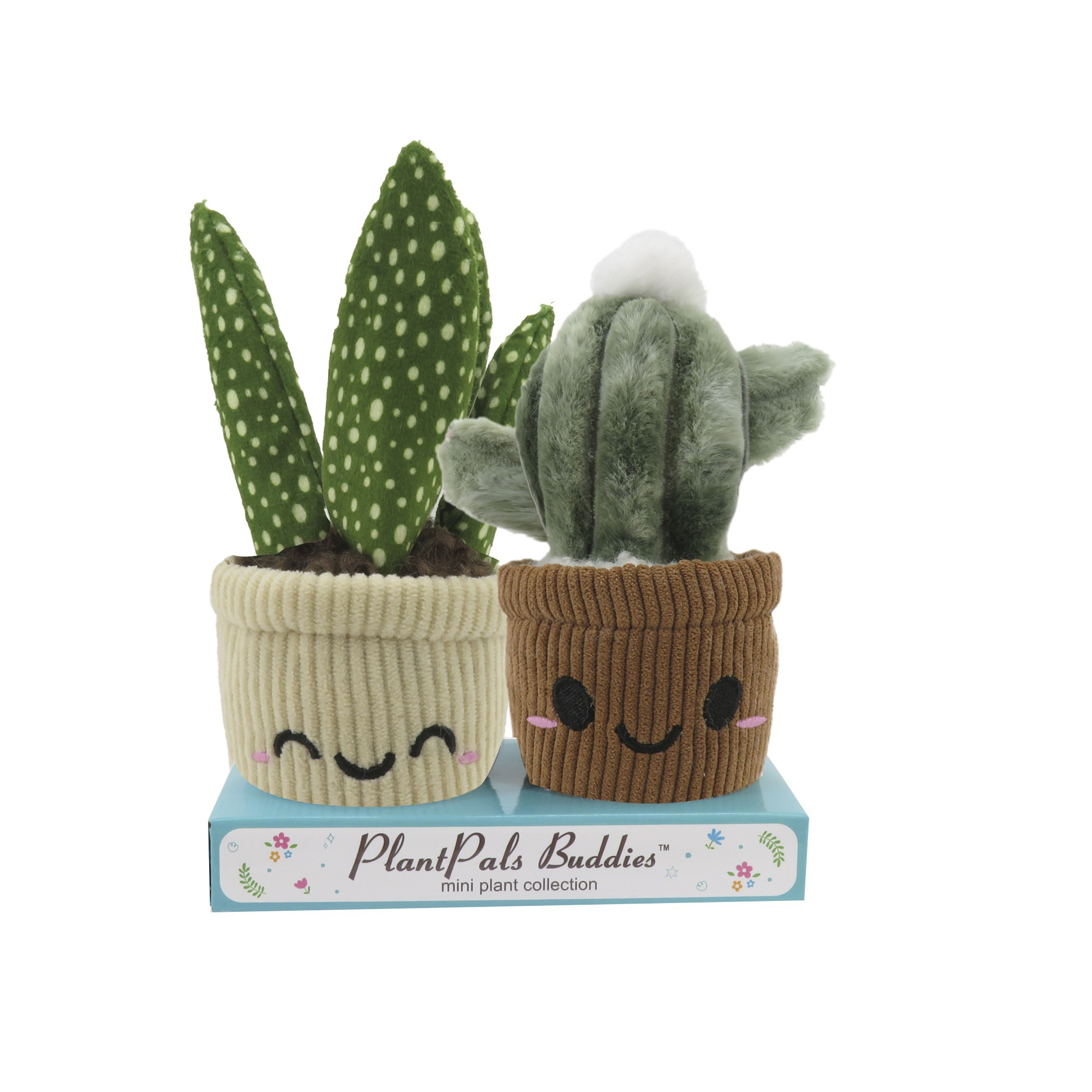 Plantset | Kaktus + Aloe Vera 15 cm Plsch | MediaMarkt