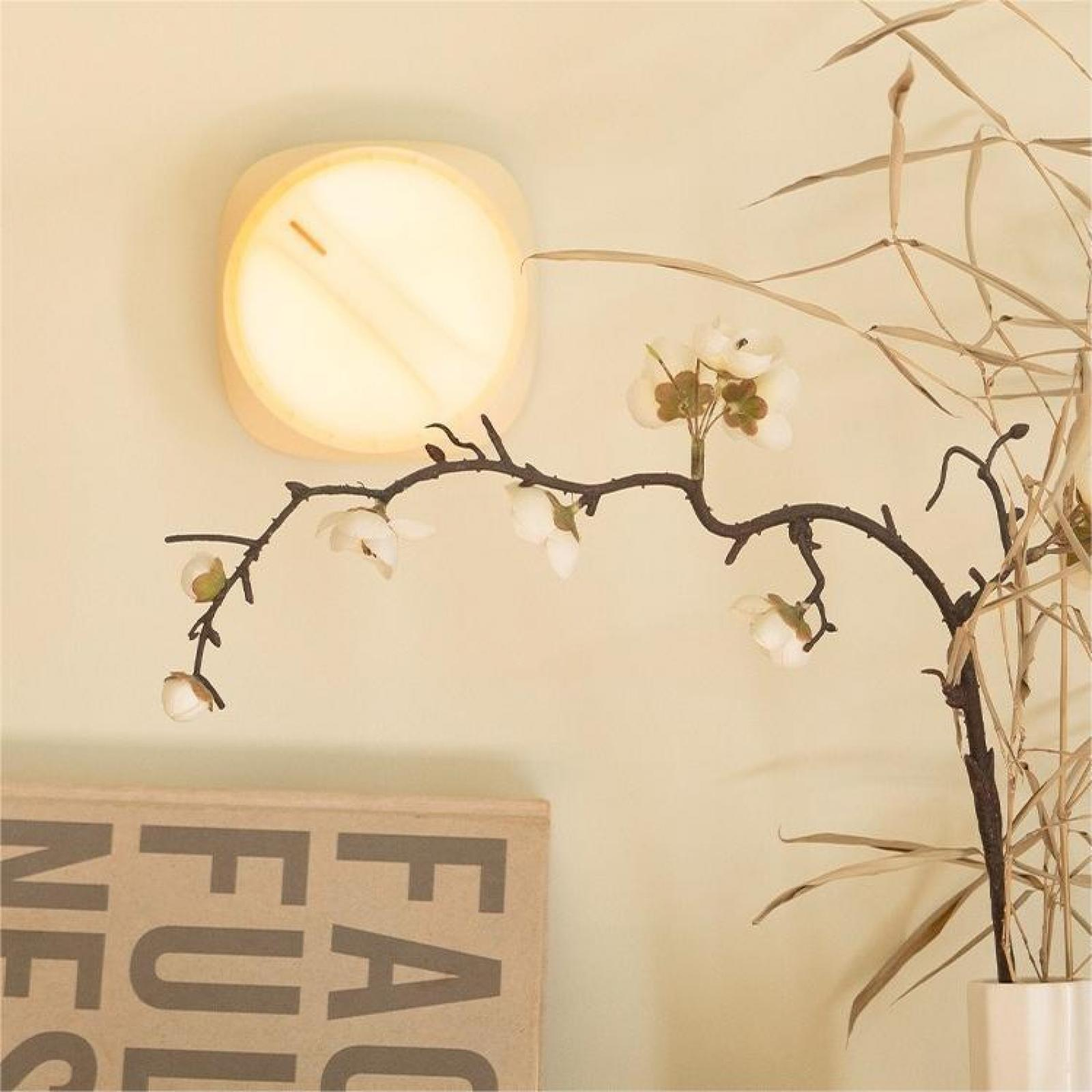 Ein beleuchtetes quadratisches Licht an der Wand, mit einem Zweig weißer Blumen und trockenen Pflanzen.