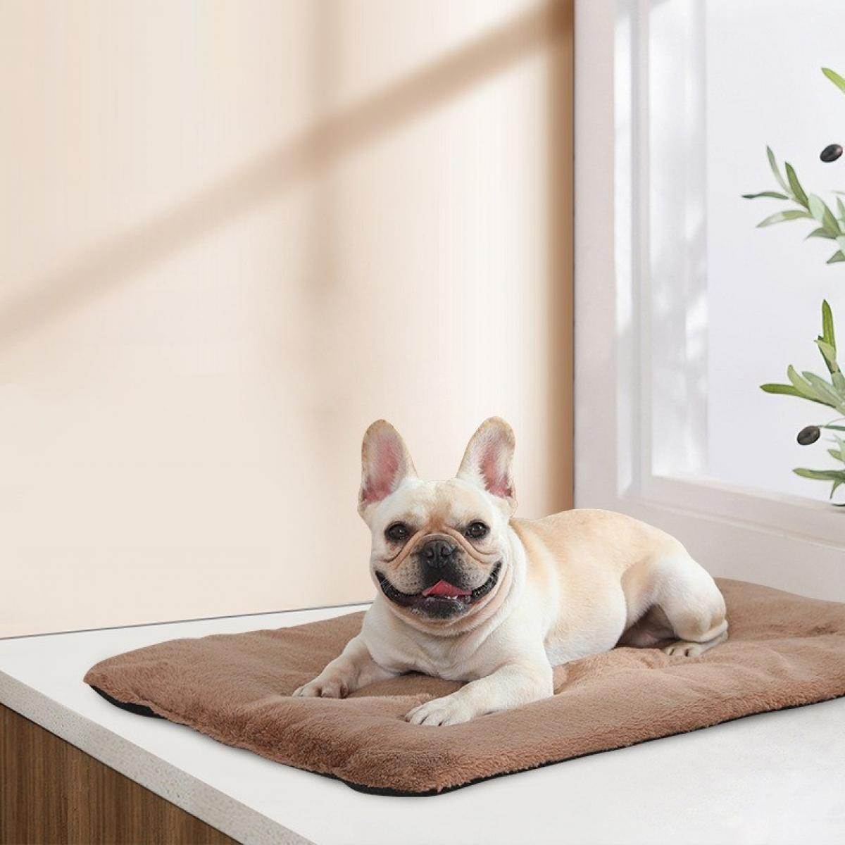 Ein lächelnder Französisch-Bulldogge liegt auf einer braunen Matte in der Nähe eines Fensters mit einer Pflanze. Der Hund ist hellbraun, mit herausgestreckter Zunge.