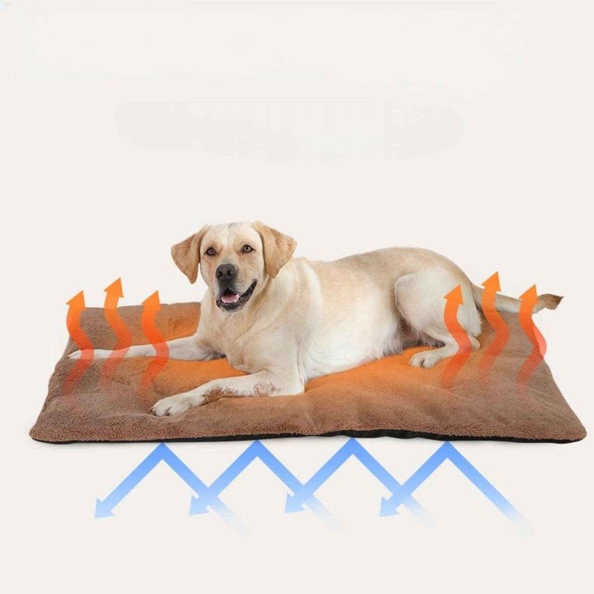 Ein Labrador liegt auf einem beheizten Haustierbett. Orangefarbene Wärme-Pfeile steigen auf, blaue Pfeile zeigen nach unten. Der Hund ist hellbraun mit glücklichem Ausdruck.