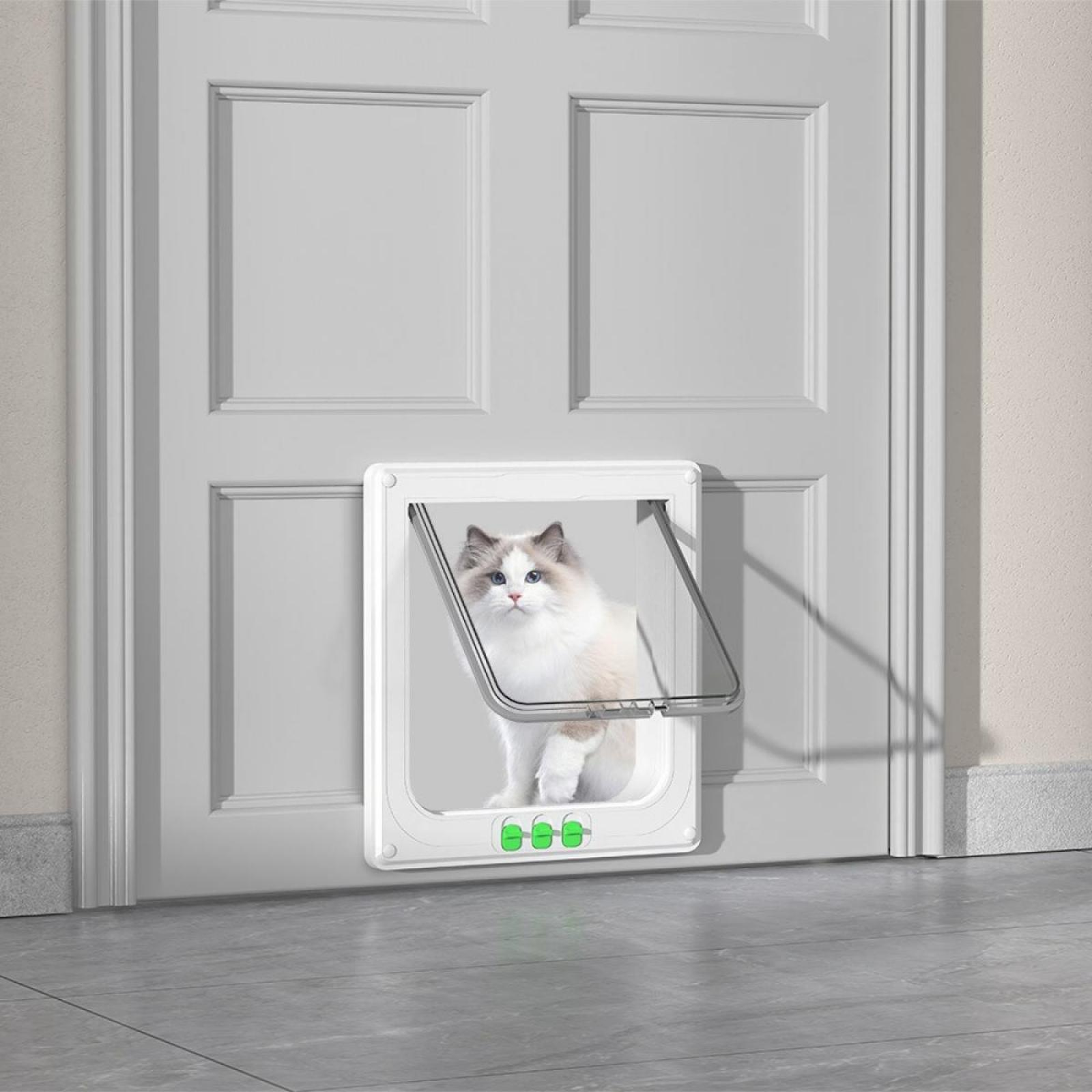 Eine weiße Katze mit blauen Augen sitzt in einer weißen Katzentür in einer weißen Tür. Die Katze schaut direkt in die Kamera.