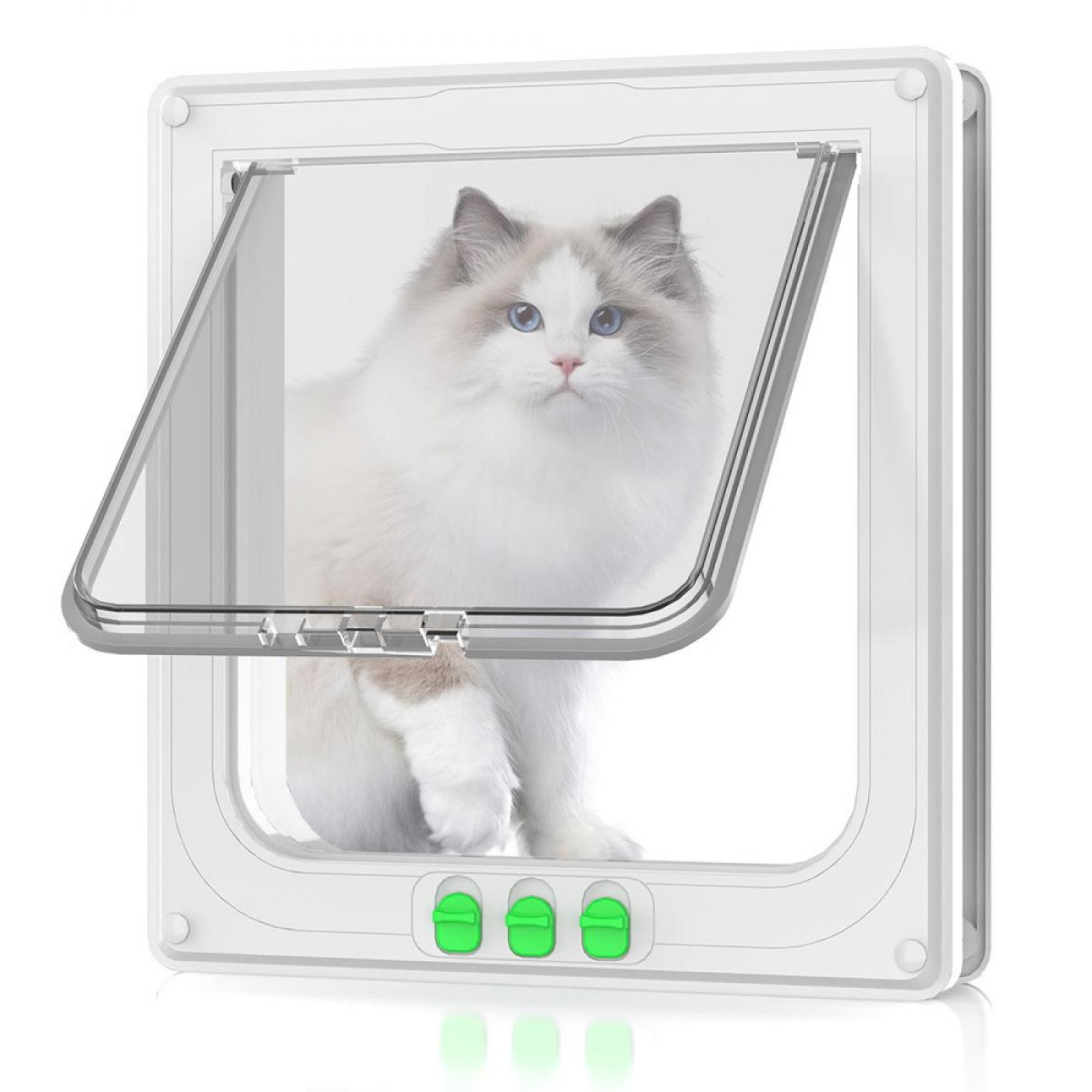 Eine flauschige, weiße Katze mit blauen Augen sitzt in einer weißen Katzentür. Die Tür hat grüne Knöpfe.