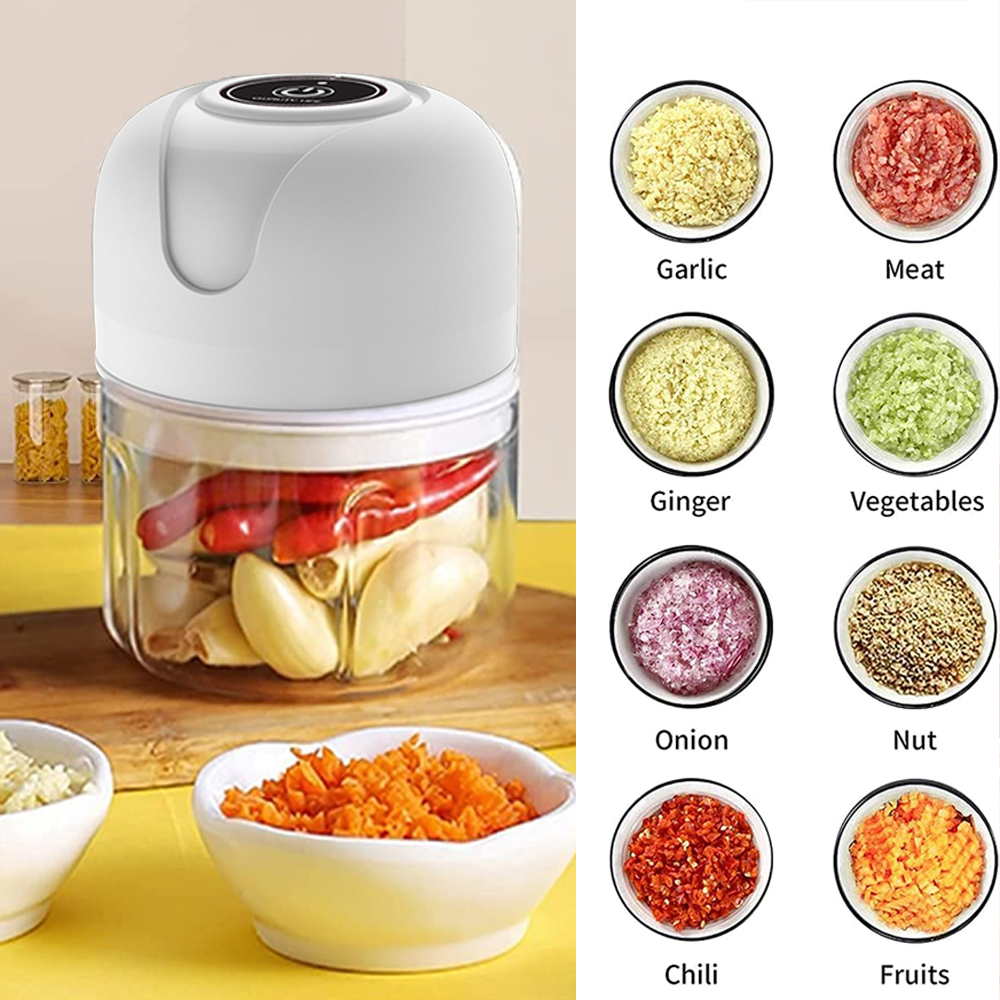Ein weißer Food-Processor mit Zutaten im Inneren und gehackten Lebensmittelproben in Schalen. Etiketten kennzeichnen Knoblauch, Fleisch, Ingwer, Gemüse, Zwiebel, Nuss, Chili und Früchte.