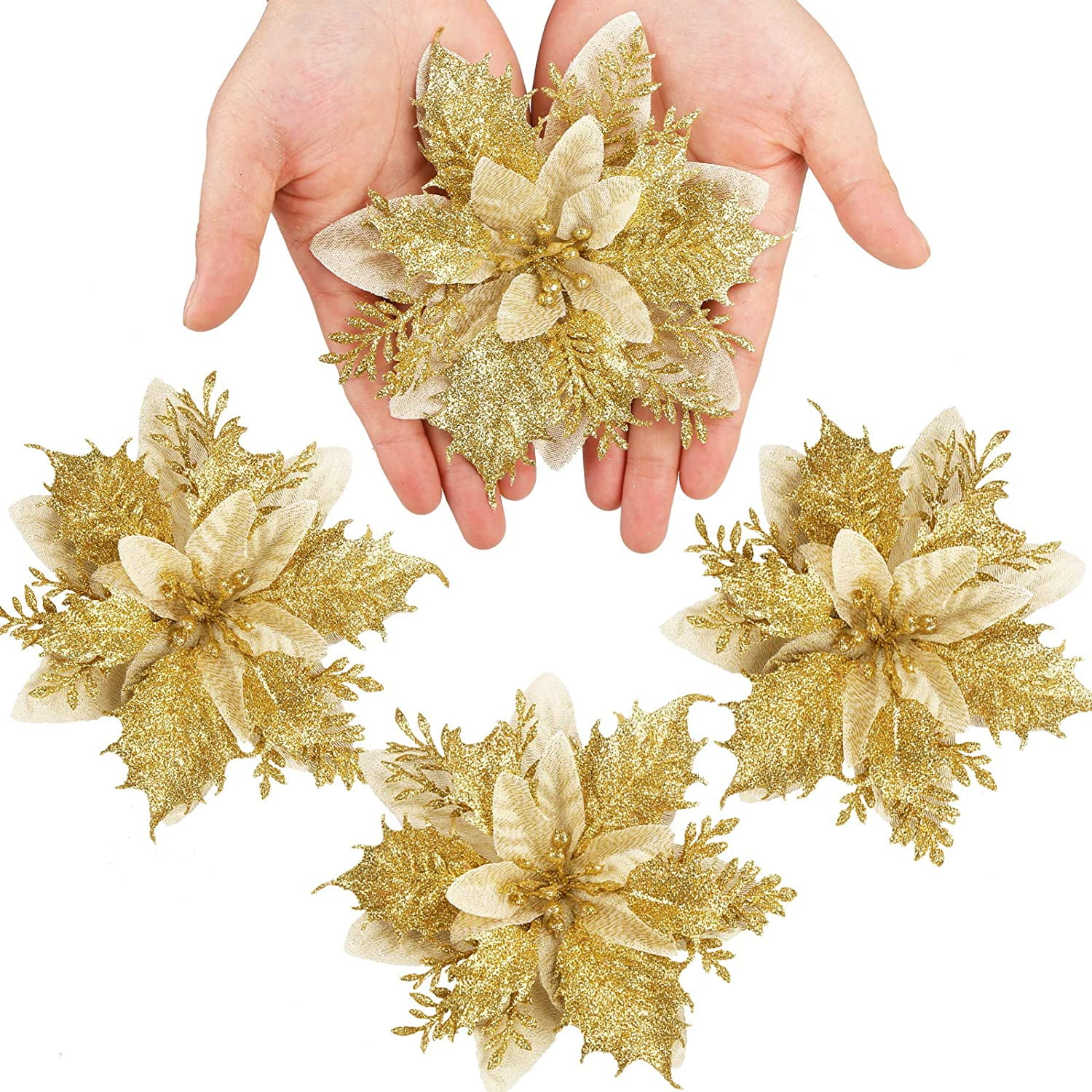 Hände halten einen goldenen Weihnachtsstern, umgeben von vier weiteren. Alle haben Goldglitter und cremefarbene Blütenblätter. Weißer Hintergrund.