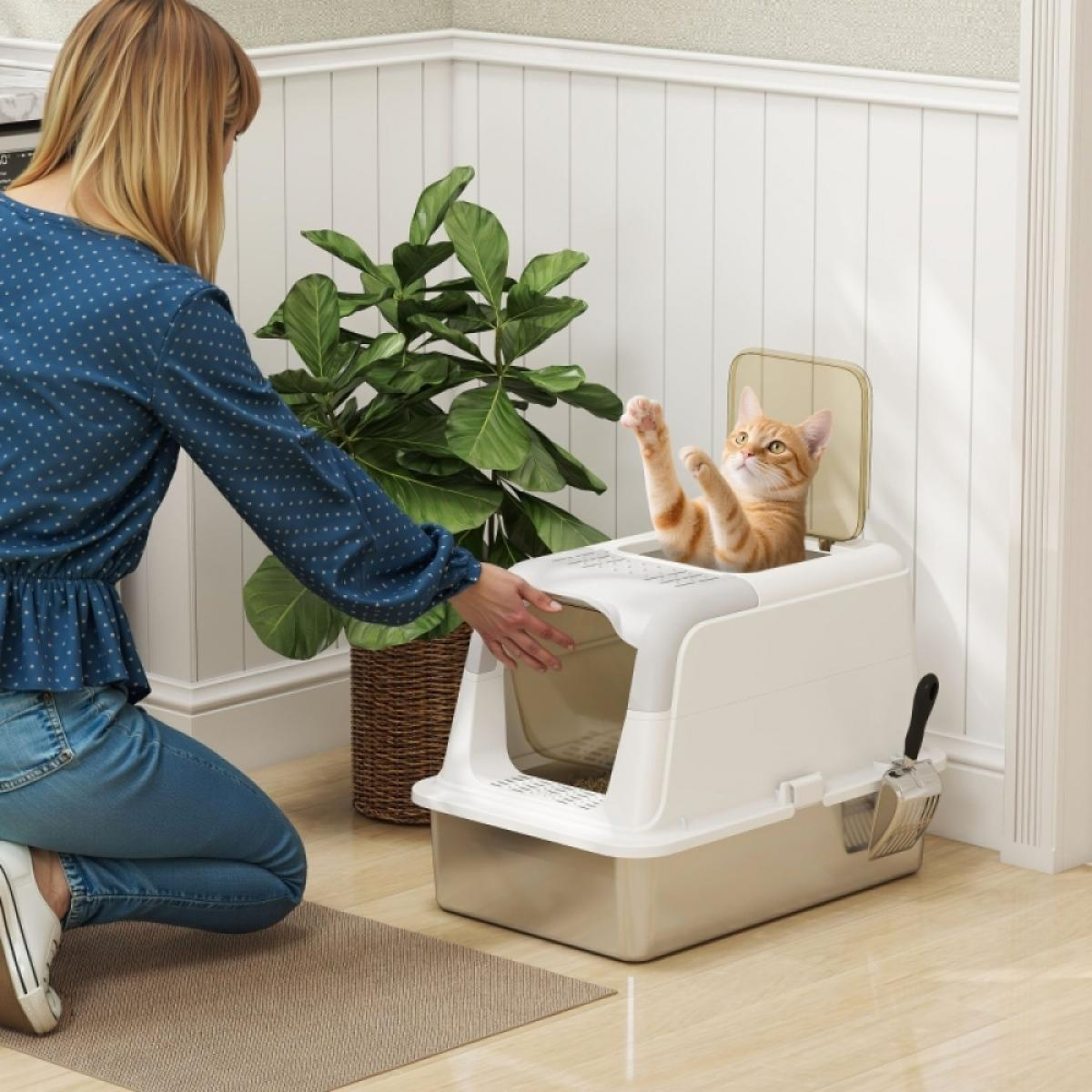 Eine Frau in der Nähe einer Katzentoilette mit einer orangefarbenen Katze darin. Links ist eine Pflanze.