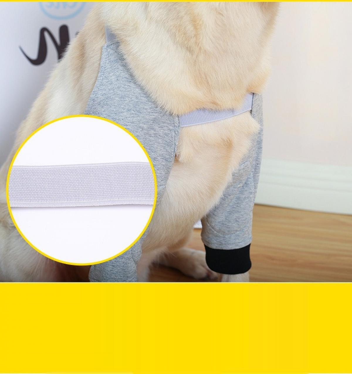 Ein Hund trägt ein graues Hemd mit schwarzen Manschetten. Eine Nahaufnahme zeigt ein weißes Gummiband. Das Fell des Hundes ist hell.